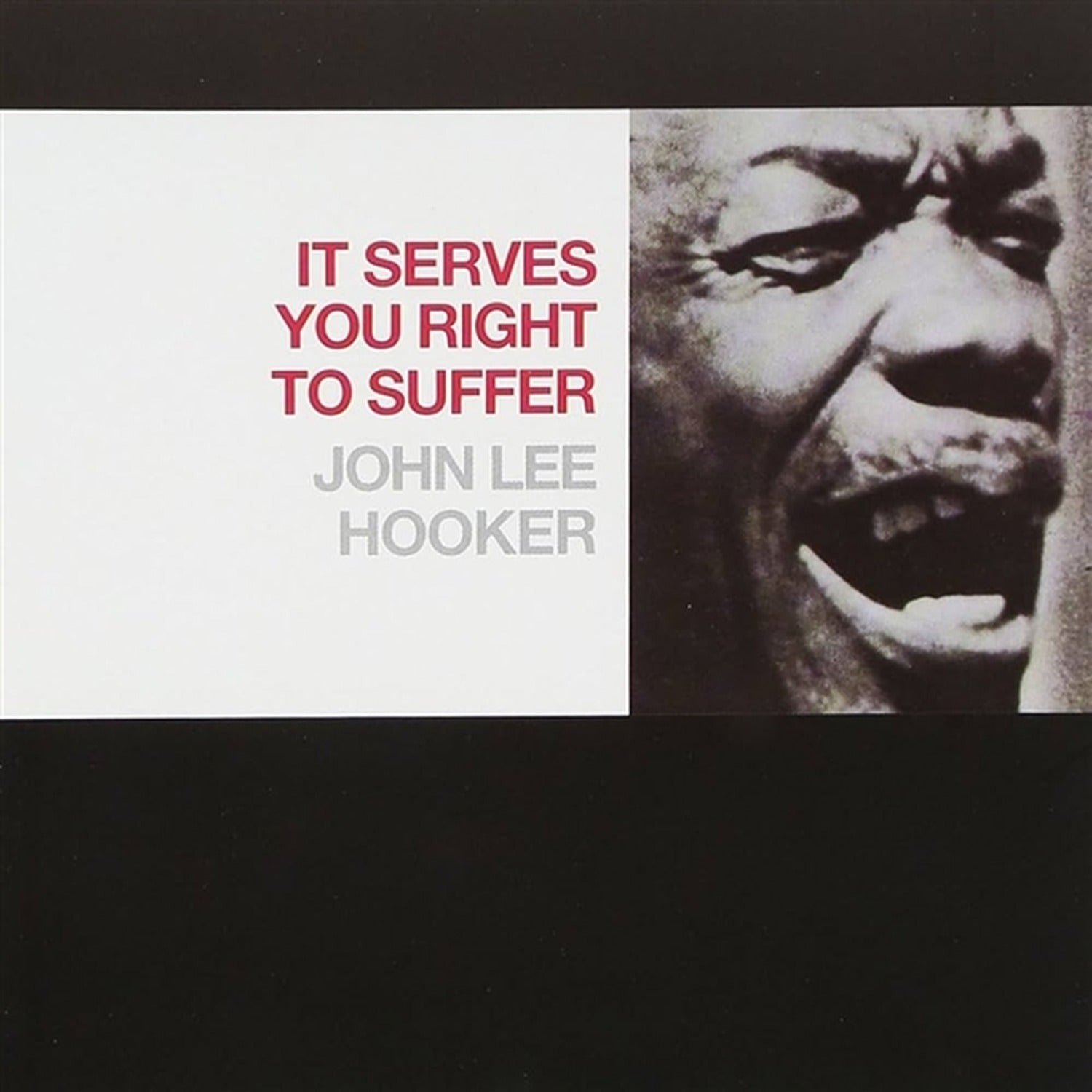 John Lee Hooker - It Serves You Right To Suffer