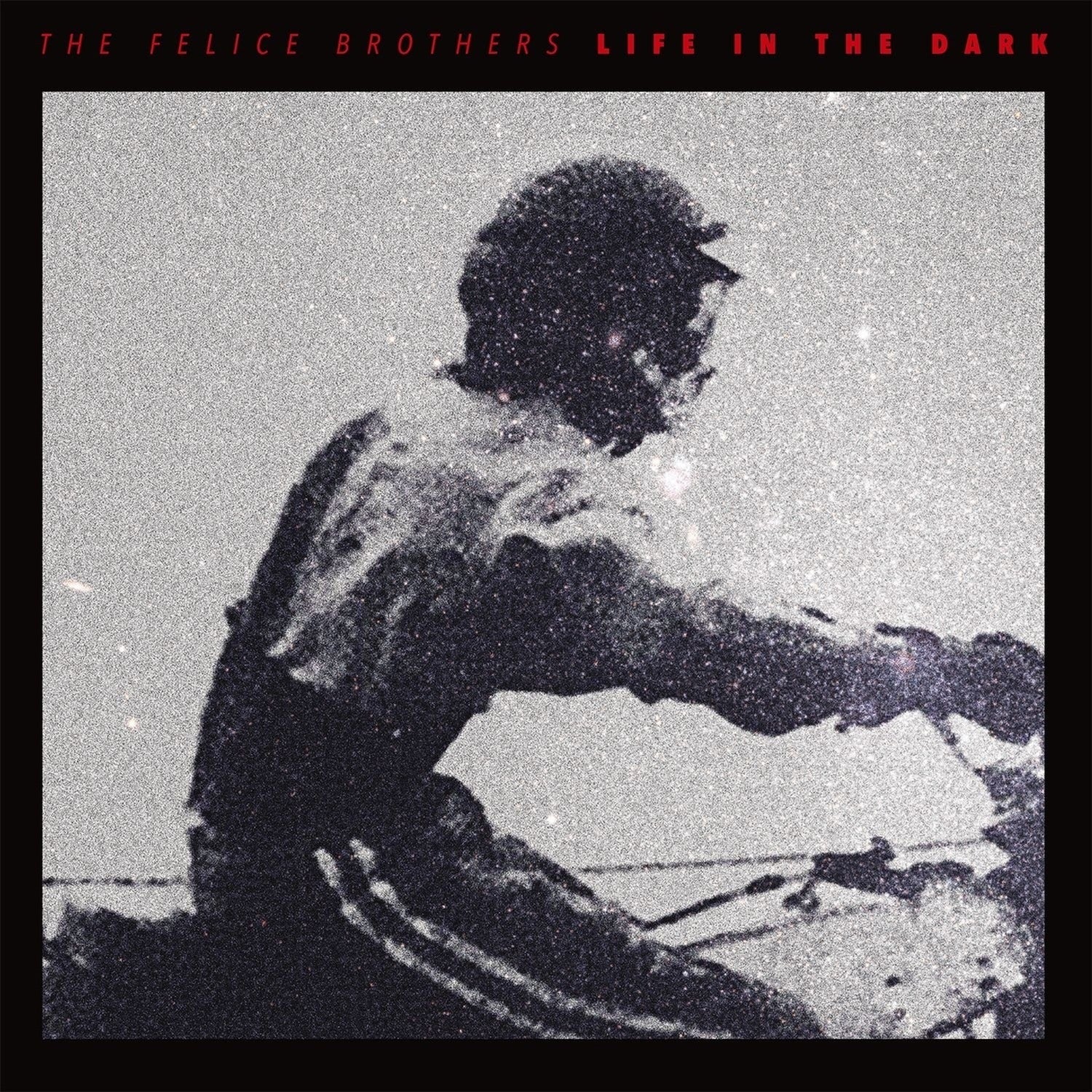 Felice Brothers - Life In The Dark (CD)