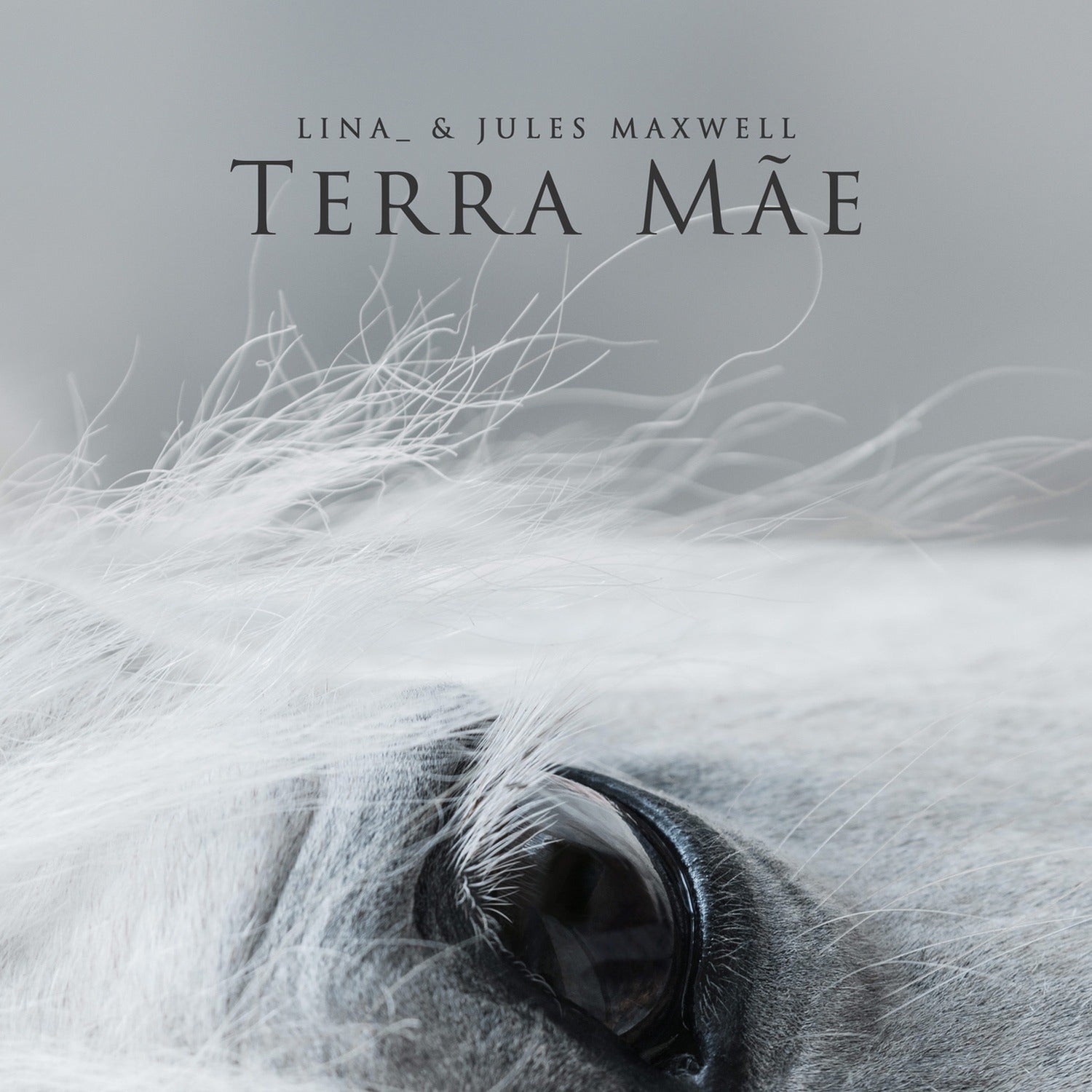 Lina - Terra Mae