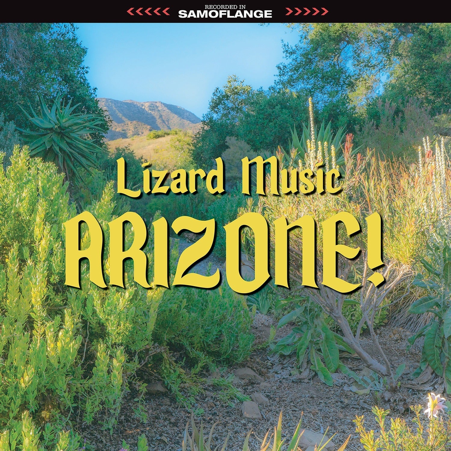 Lizard Music - Arizone 2xLP