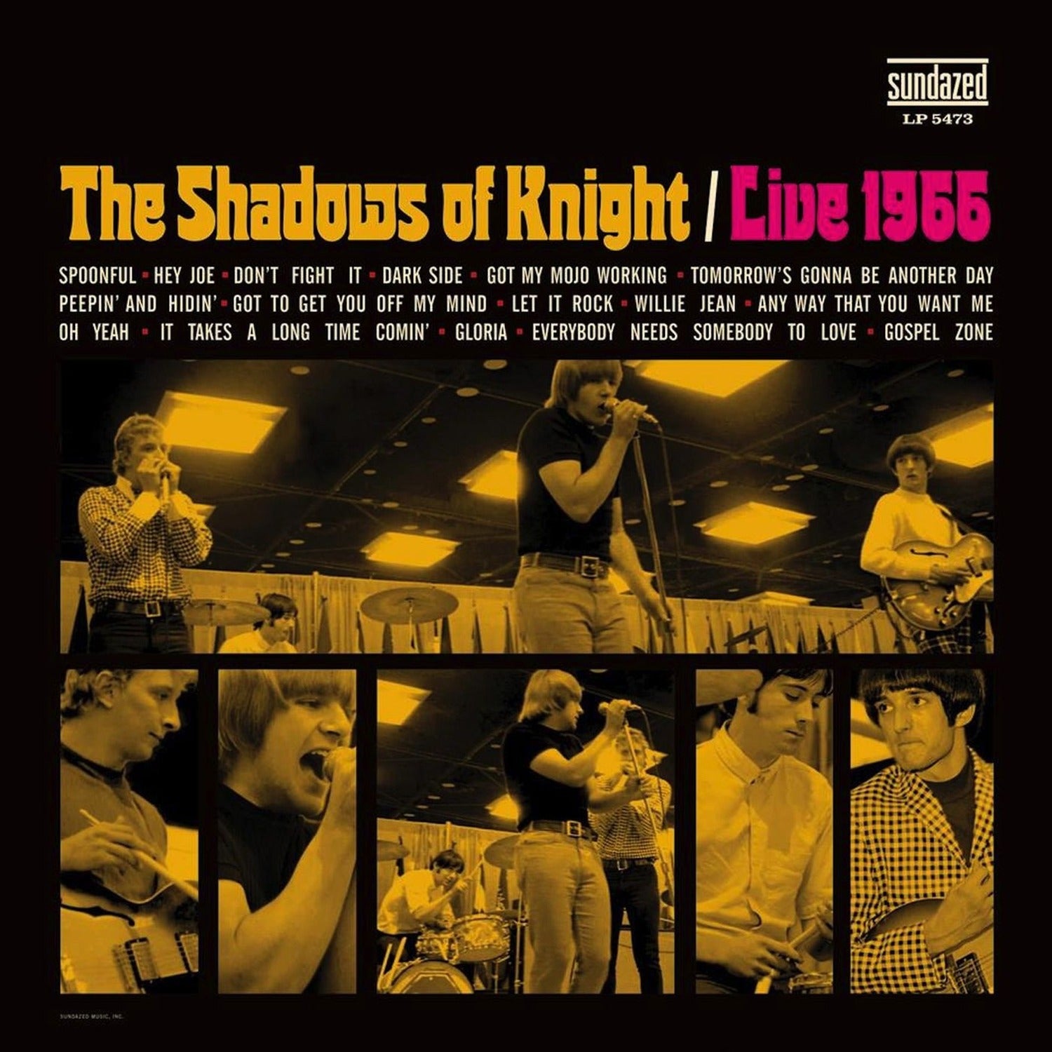 Shadows of Knight - Live 1966