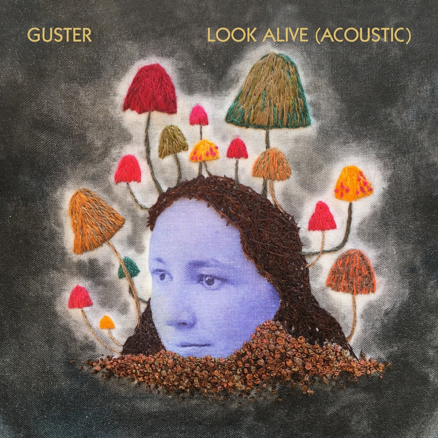 Guster - Look Alive