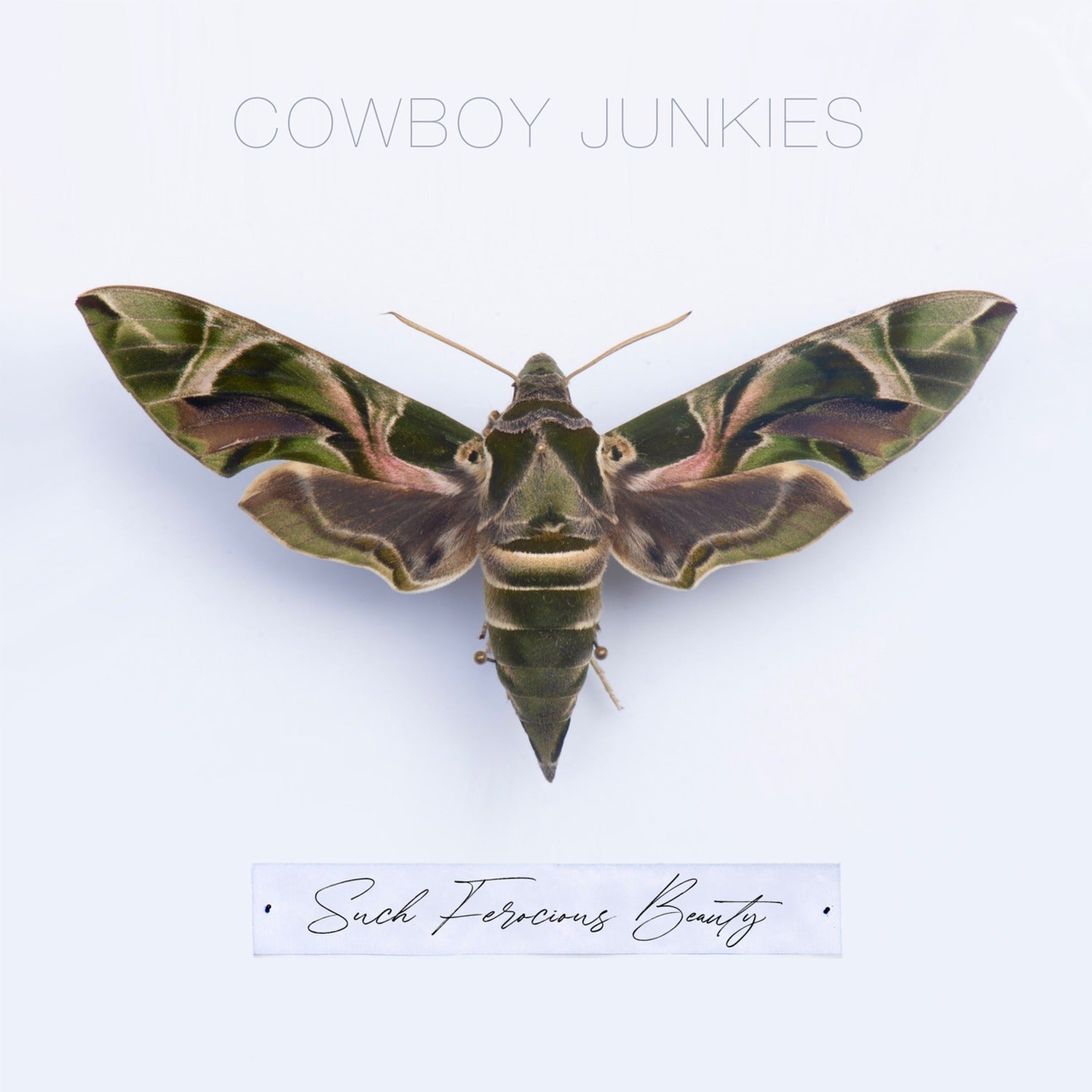 Cowboy Junkies - Such Ferocious Beauty - 140 (Tan Vinyl)