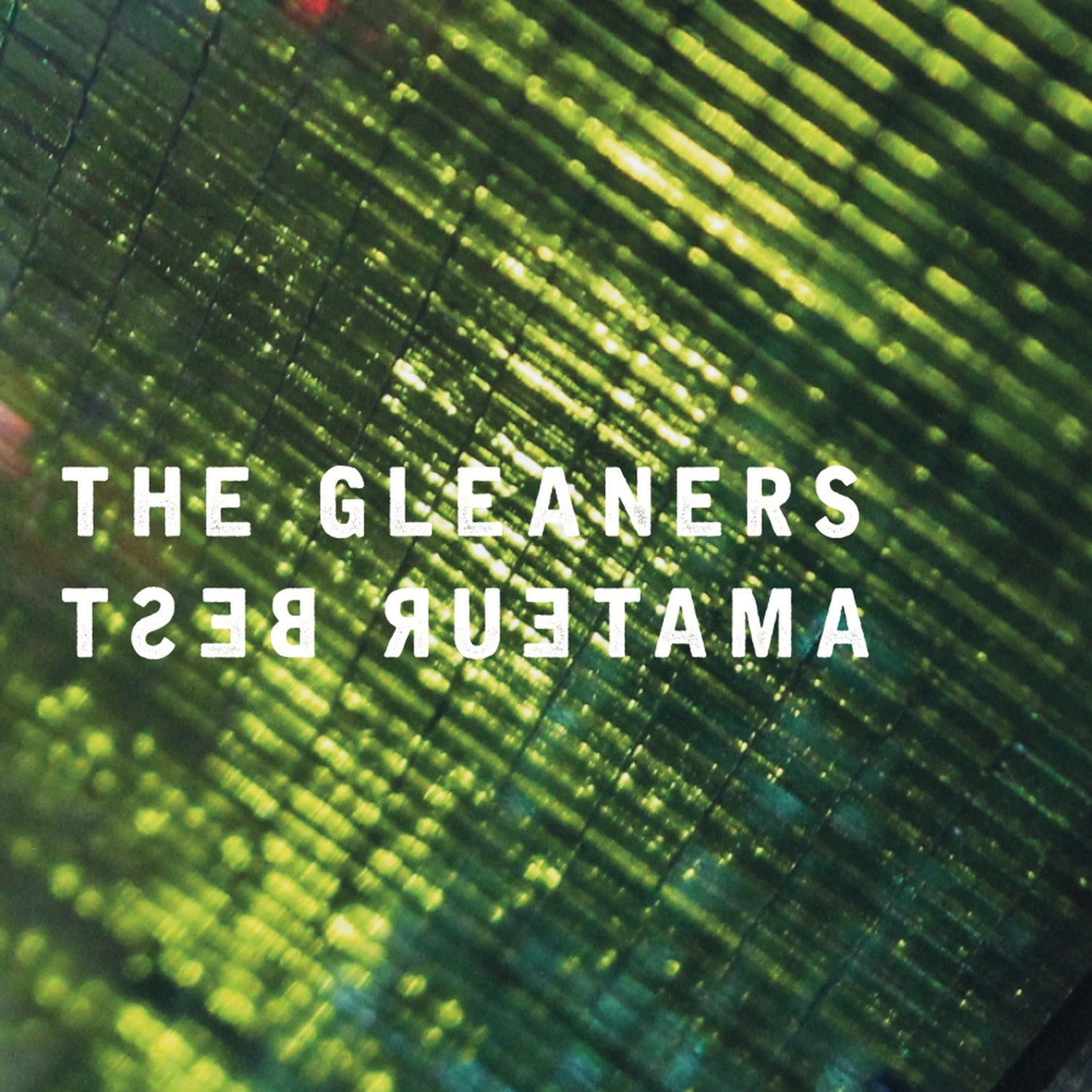 Amateur Best - The Gleaners