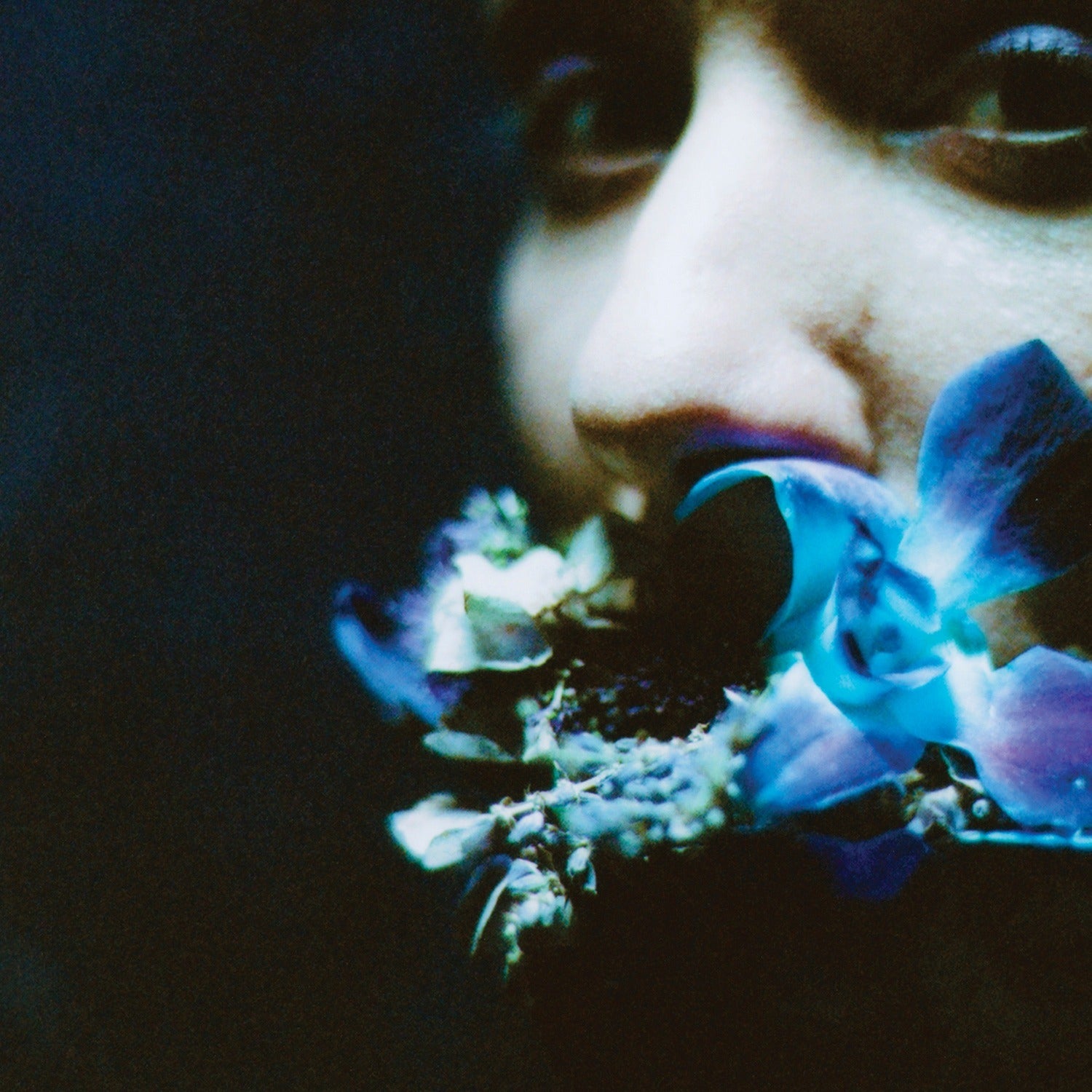 Circuit des Yeux - Reaching for Indigo (CD)