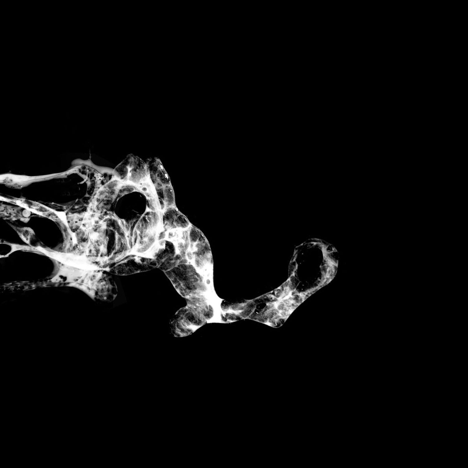 Saffronkeira - Tourette 2xLP