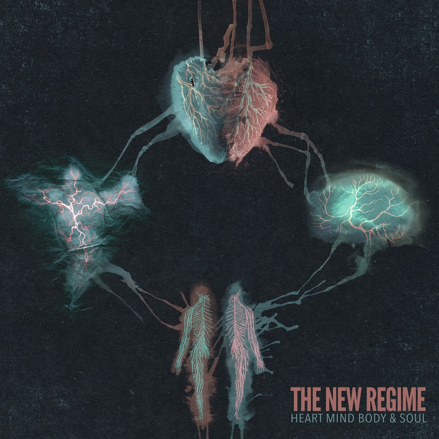 New Regime - Heart Mind Body & Soul