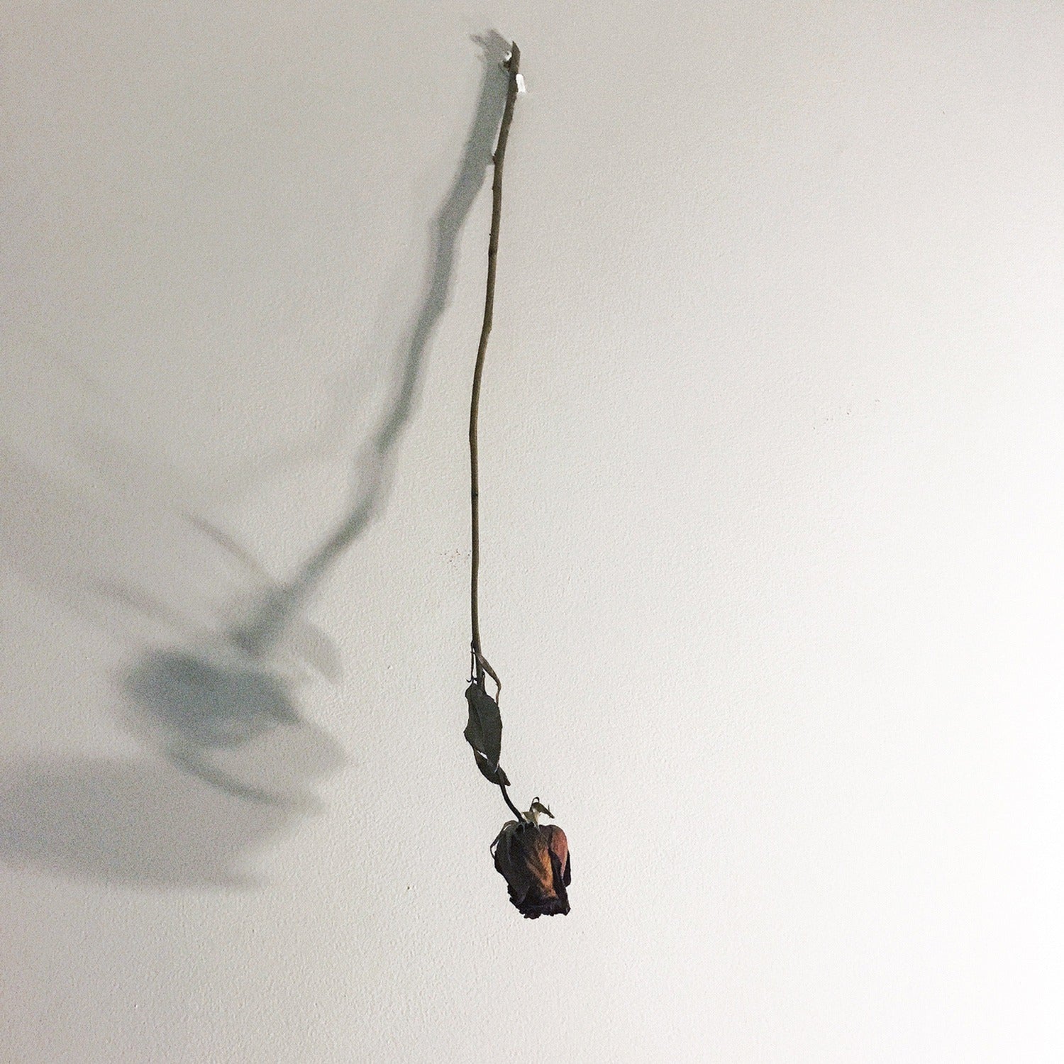 MMPH - Dear God 2xLP