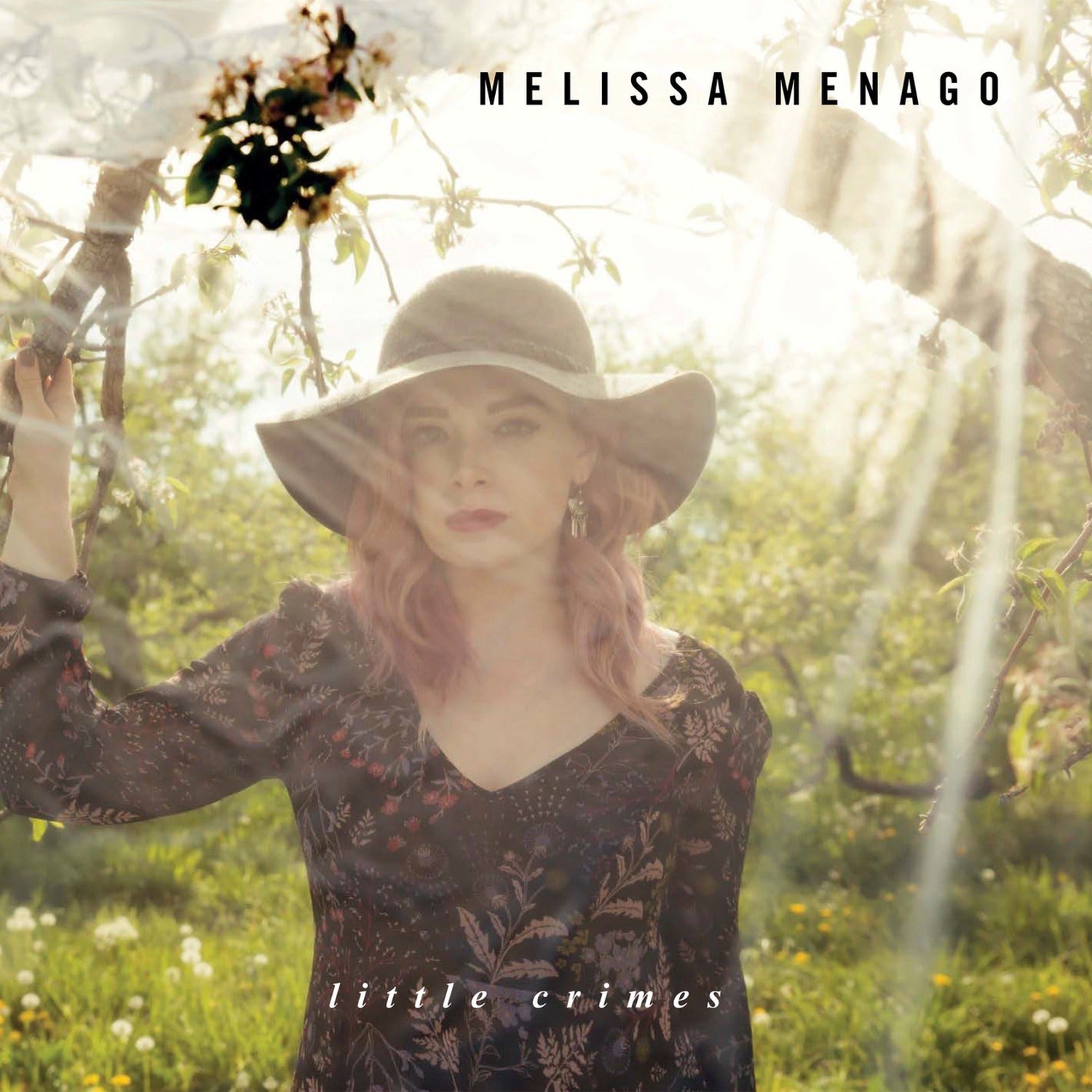 Melissa Menago - Little Crimes
