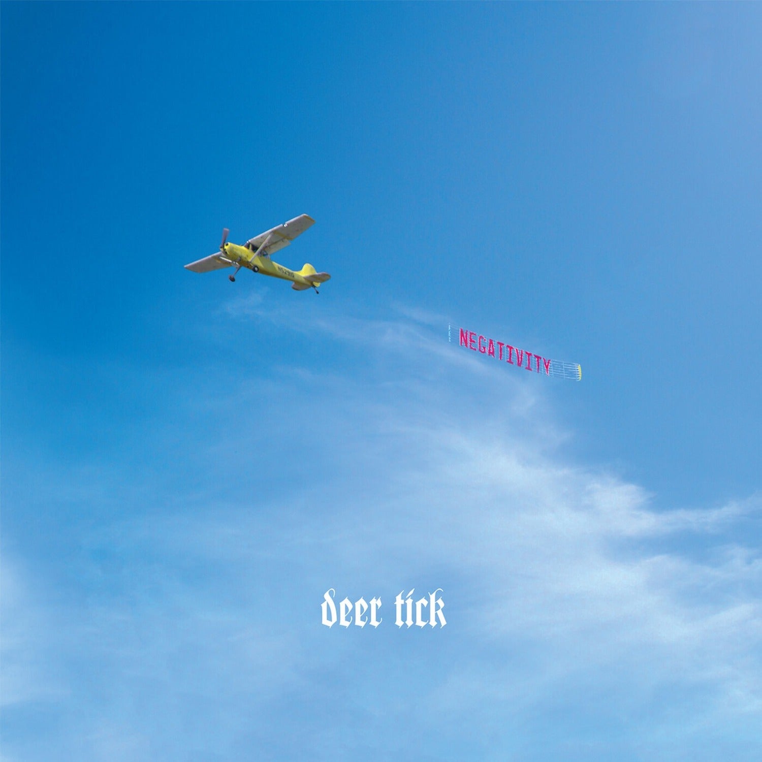 Deer Tick - Negativity 2xLP