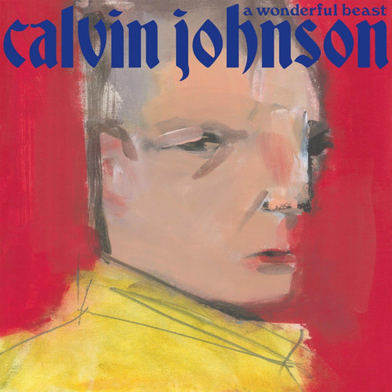 Calvin Johnson - Wonderful Beast (CD)