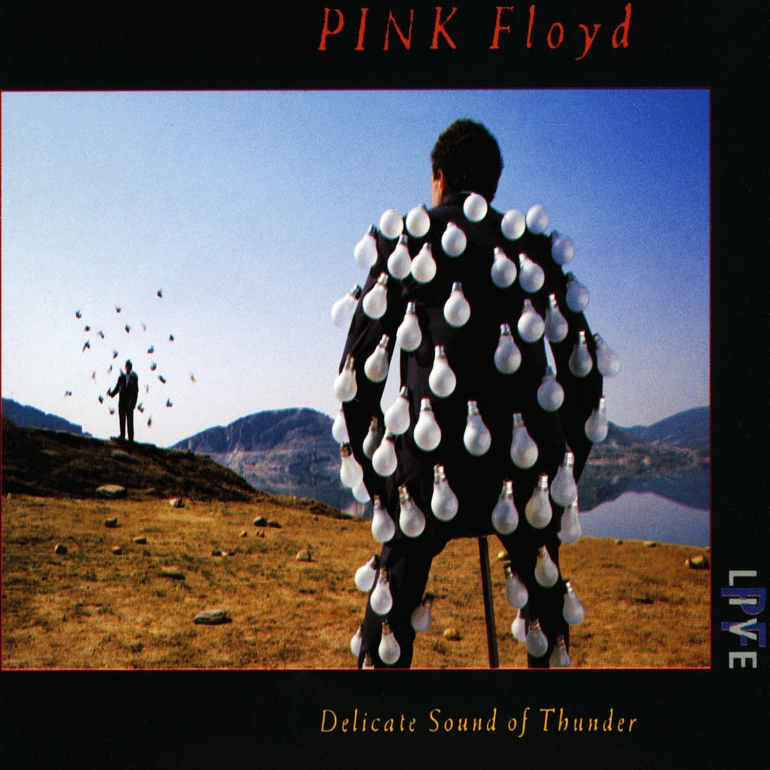 Pink Floyd - Delicate Sound of Thunder (CD) — CD album cover