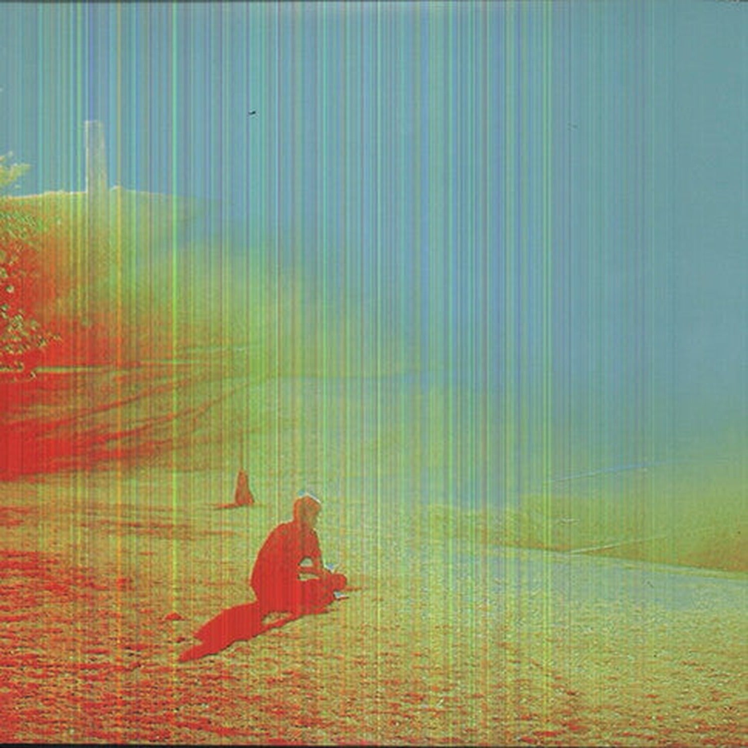 Flaming Lips - The Terror 2xLP