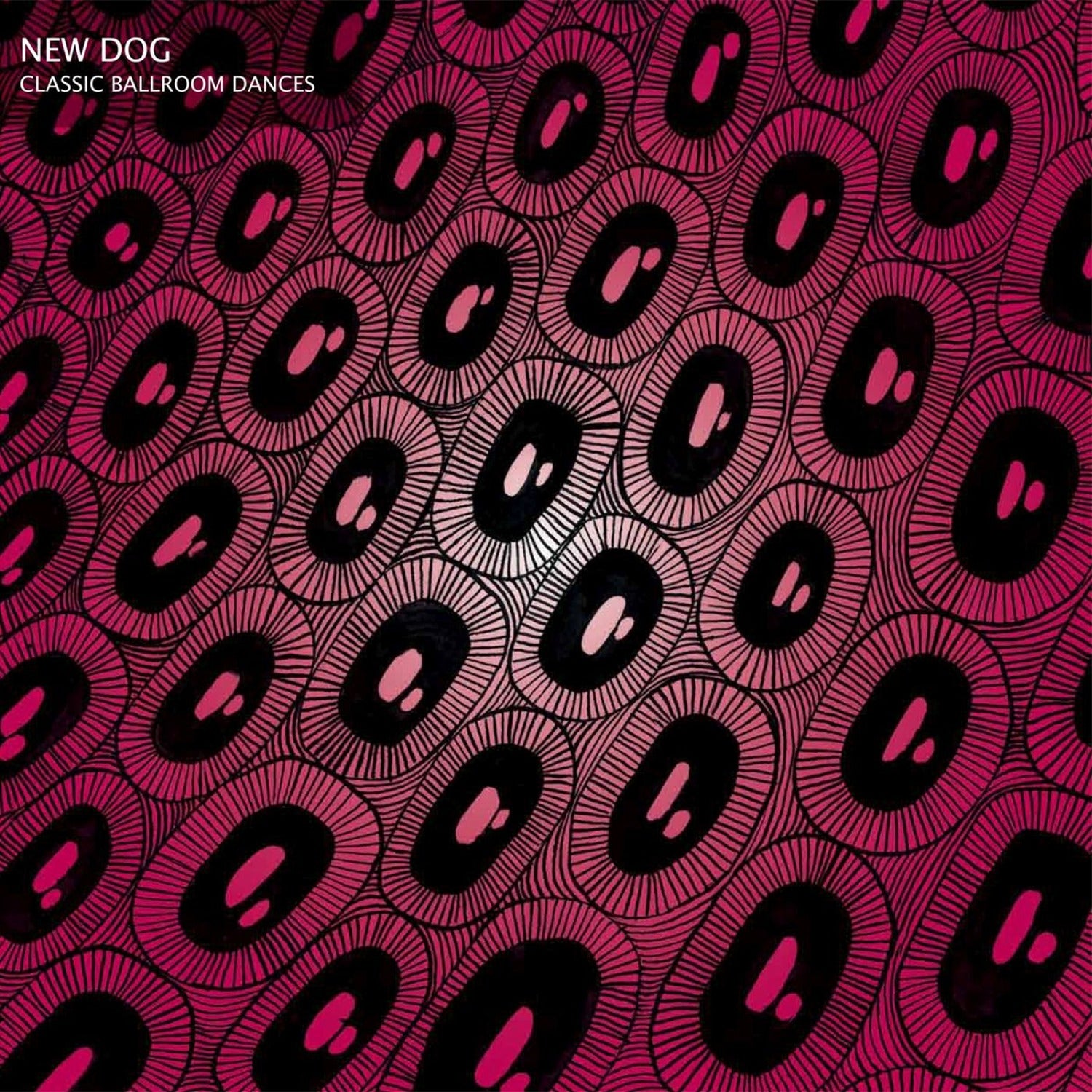 New Dog - Classic Ballroom Dances