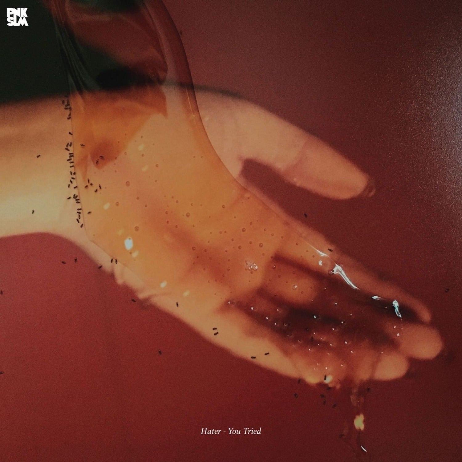 Hater - You Tried (CD)