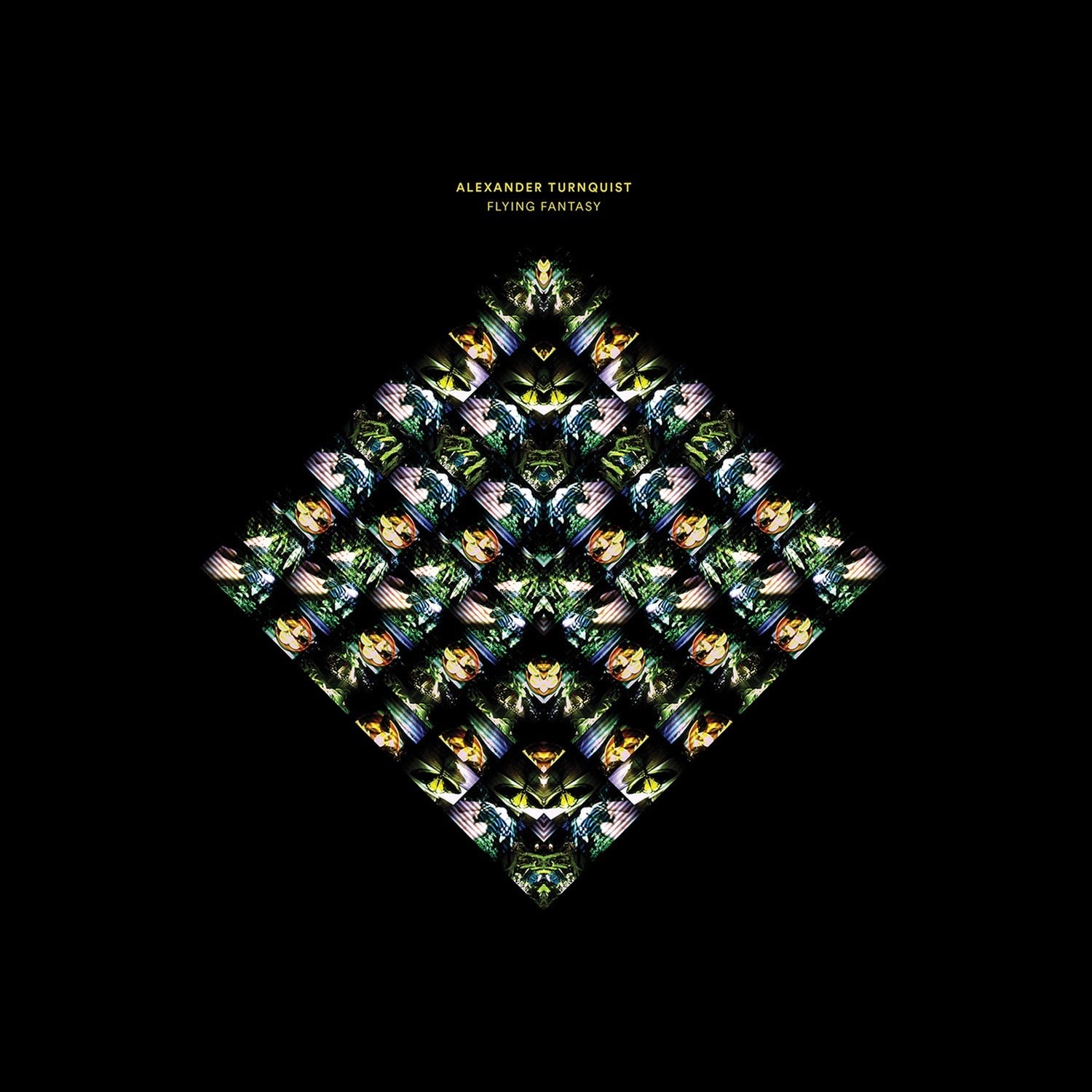 Alexander Turnquist - Flying Fantasy