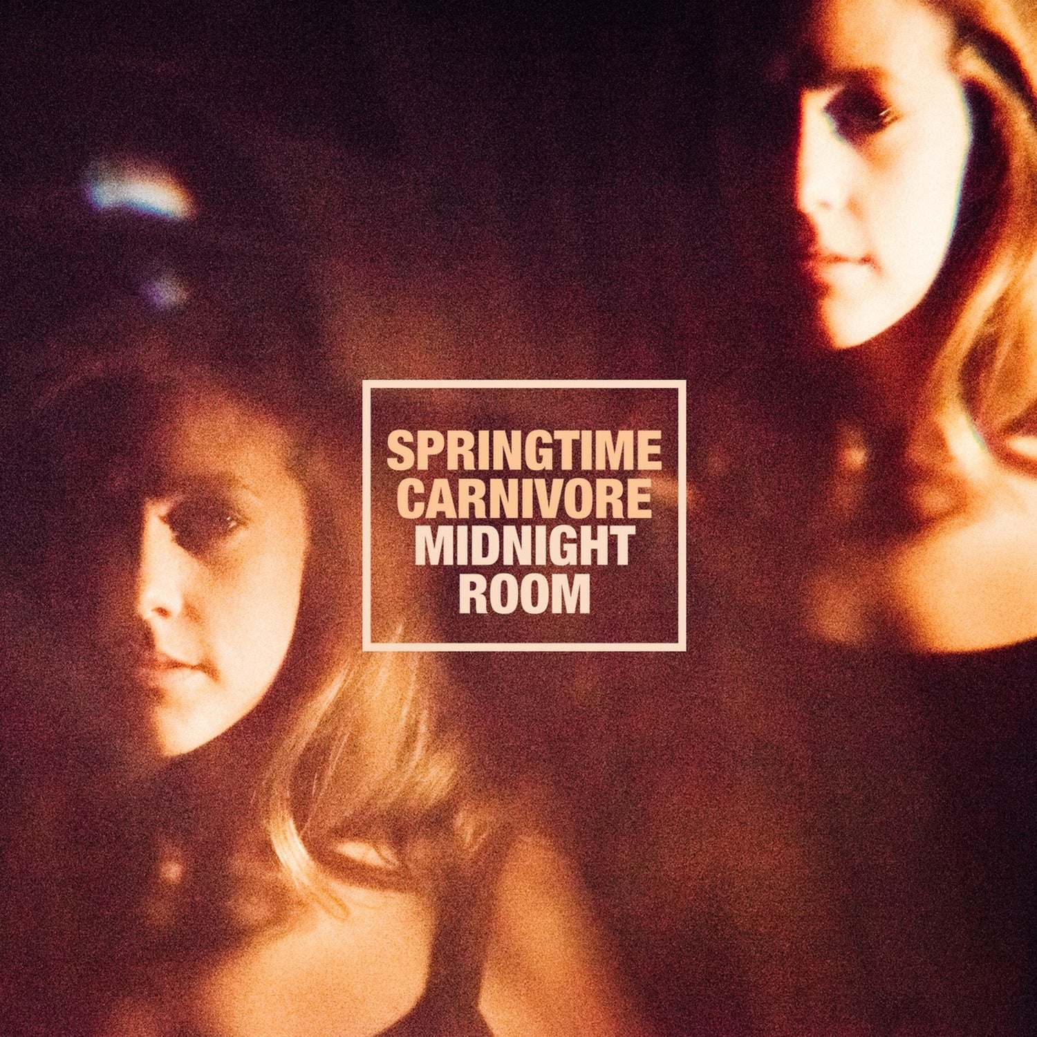 Springtime Carnivore - Midnight Room (CD)