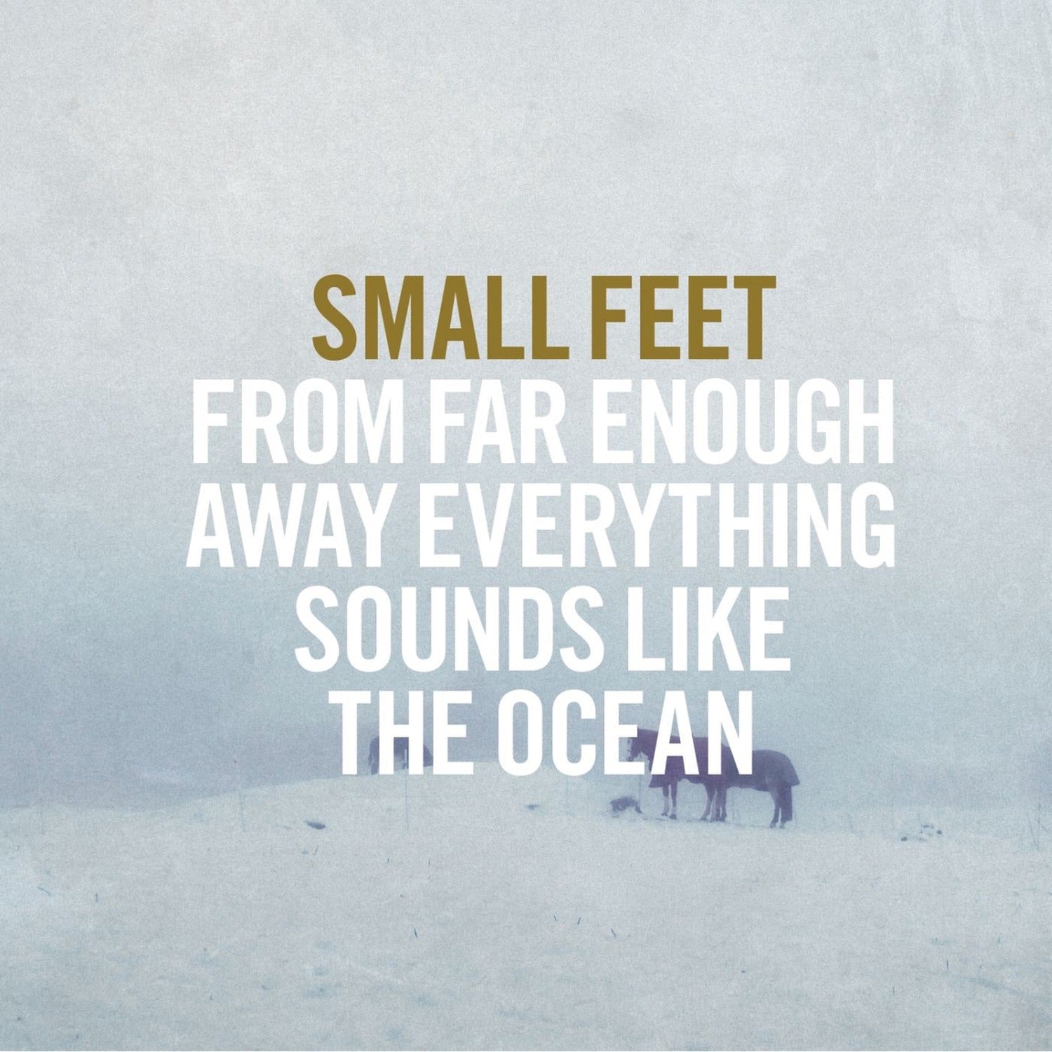 Small Feet - From Far Enough Away Everything Sounds Like
