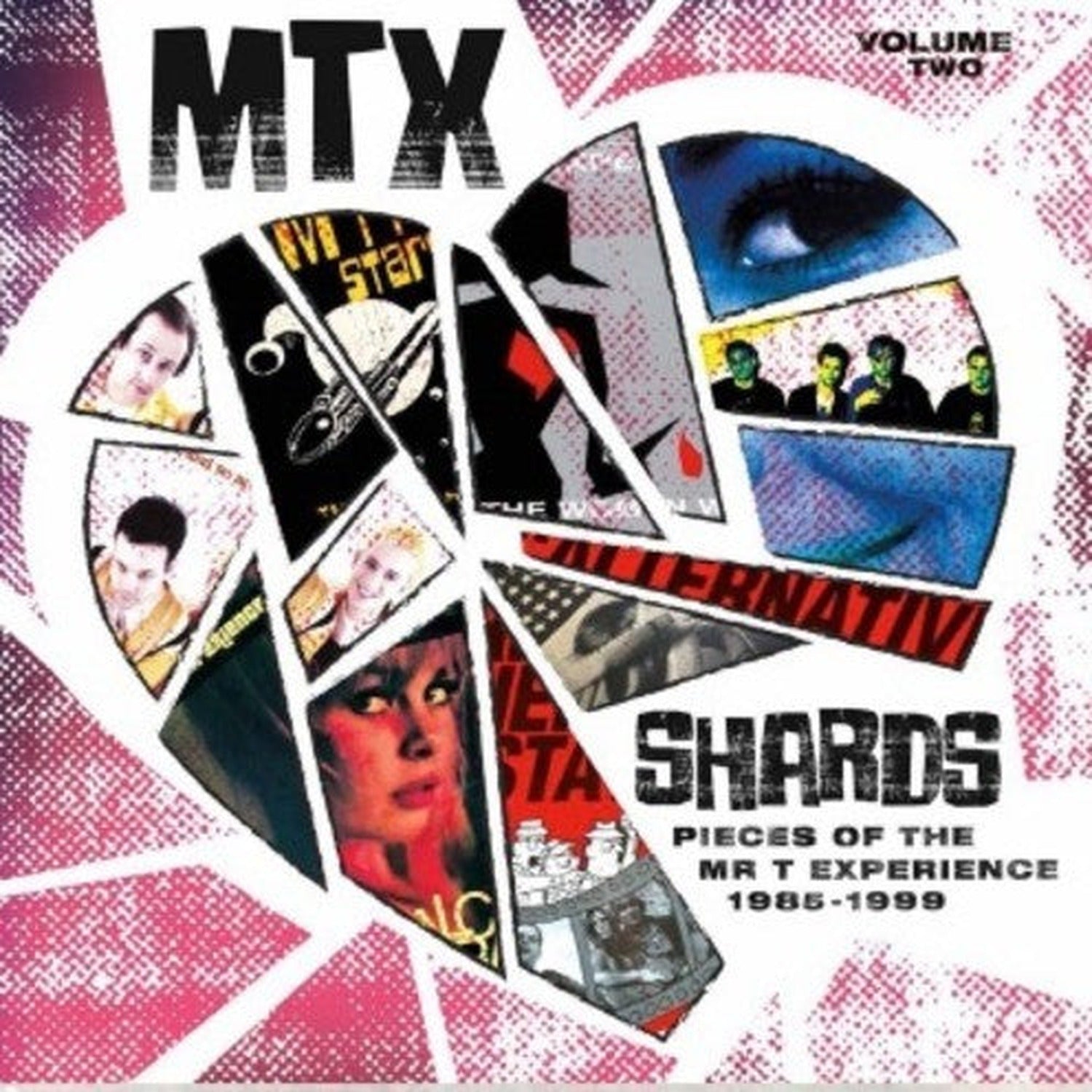 Mr T Experience - Shards Vol. 2 (Red Vinyl)