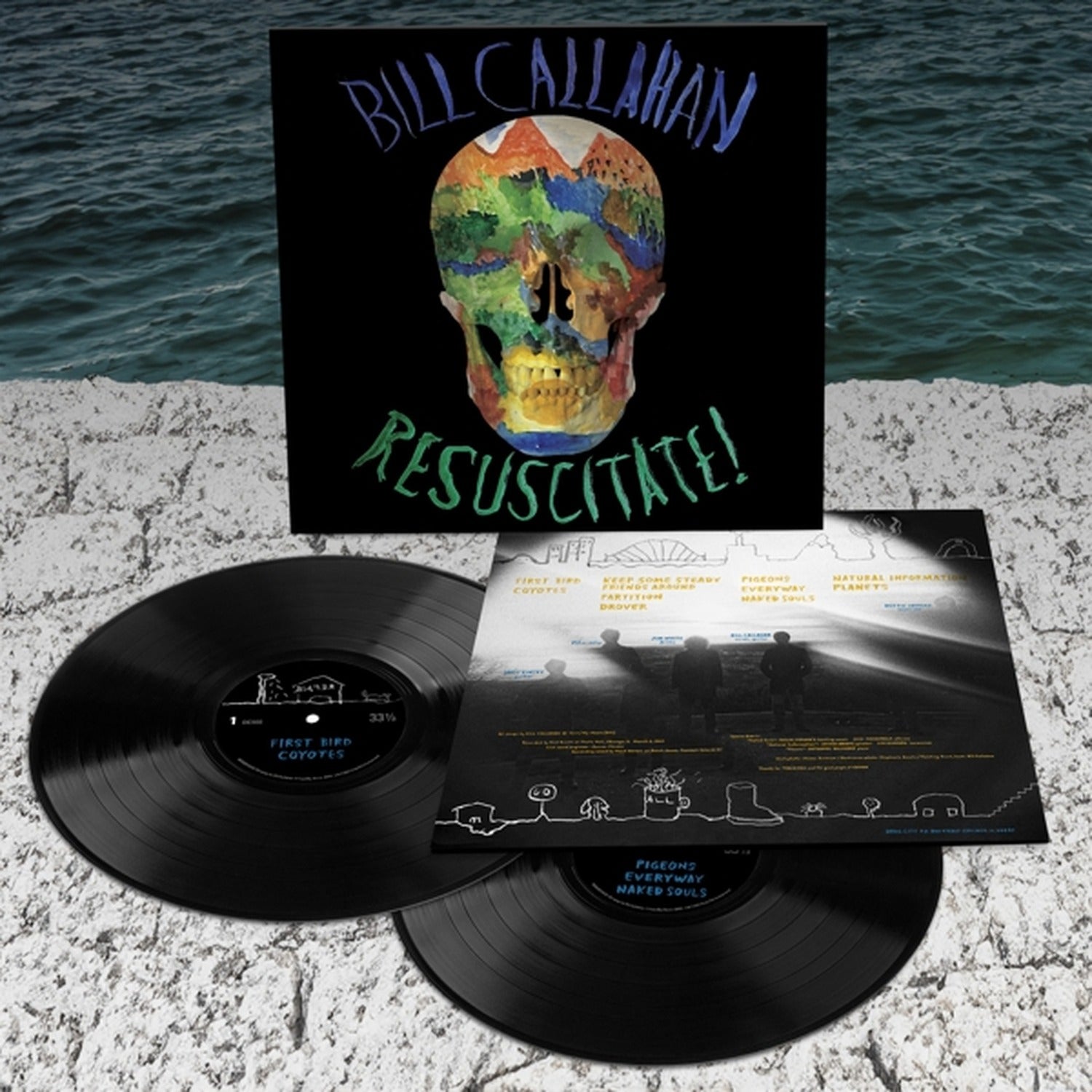 Bill Callahan - Resuscitate 2xLP