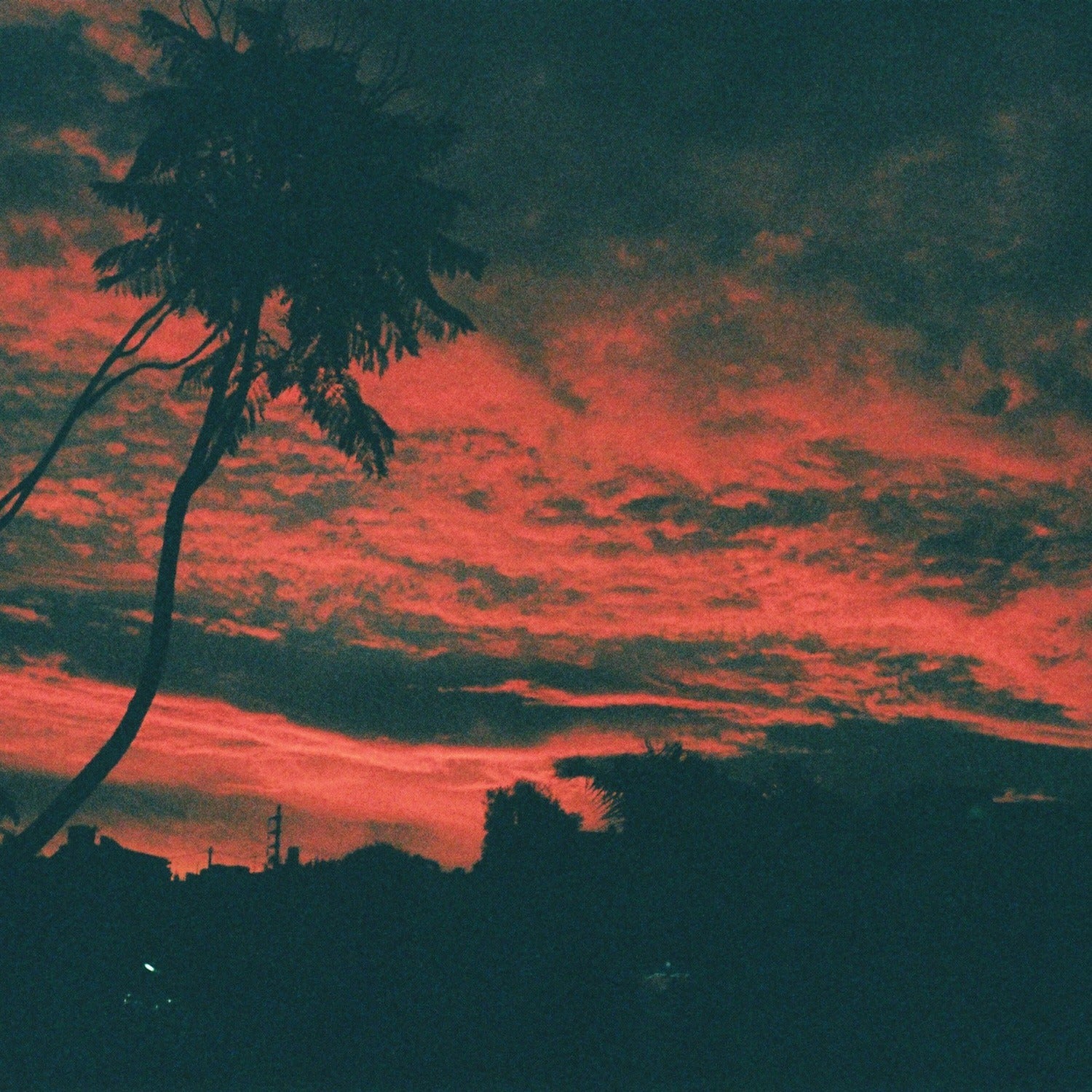 Malena Zavala - Aliso (CD)