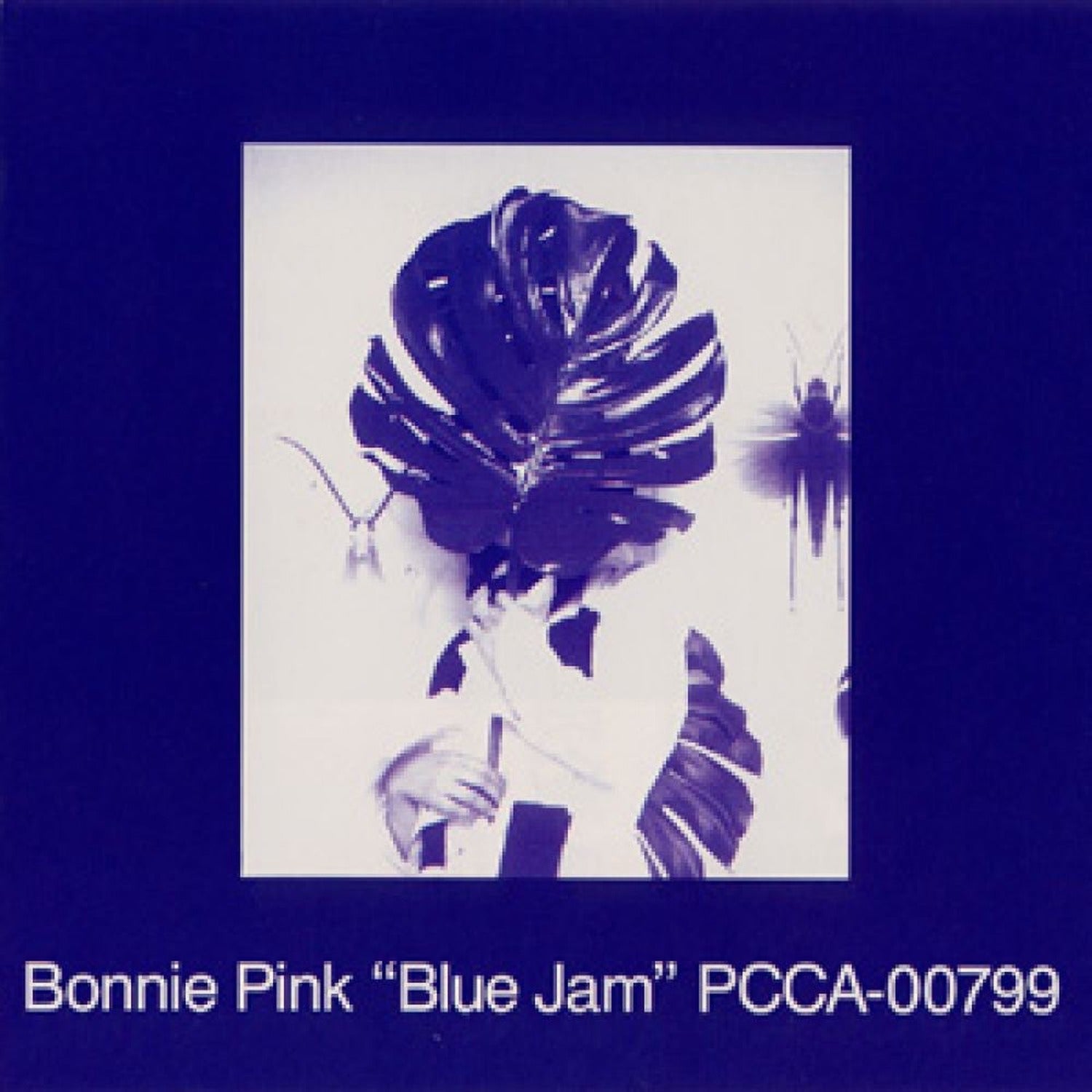 Bonnie Pink - Blue Jam