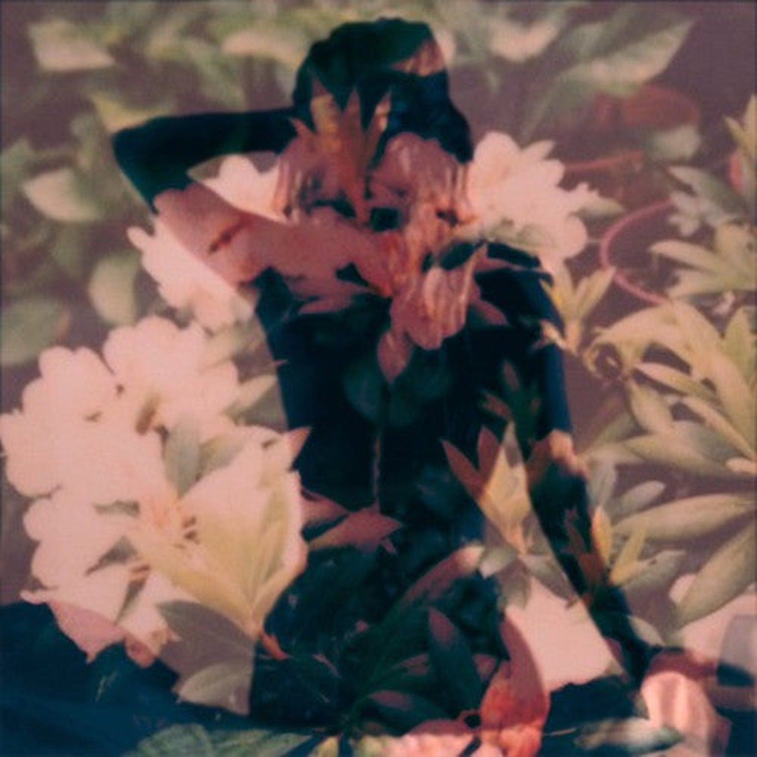 Modern Vices (CD)