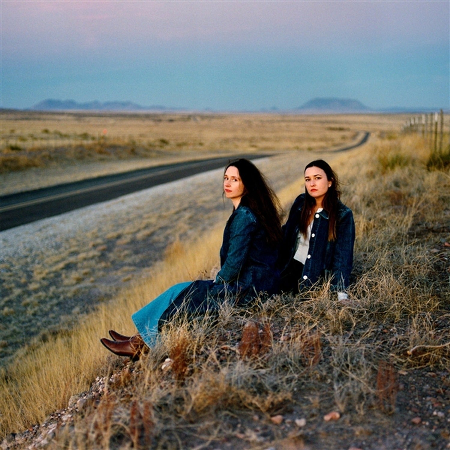 Plains - I Walked With You A Ways - Pink Clear (Pink Vinyl)