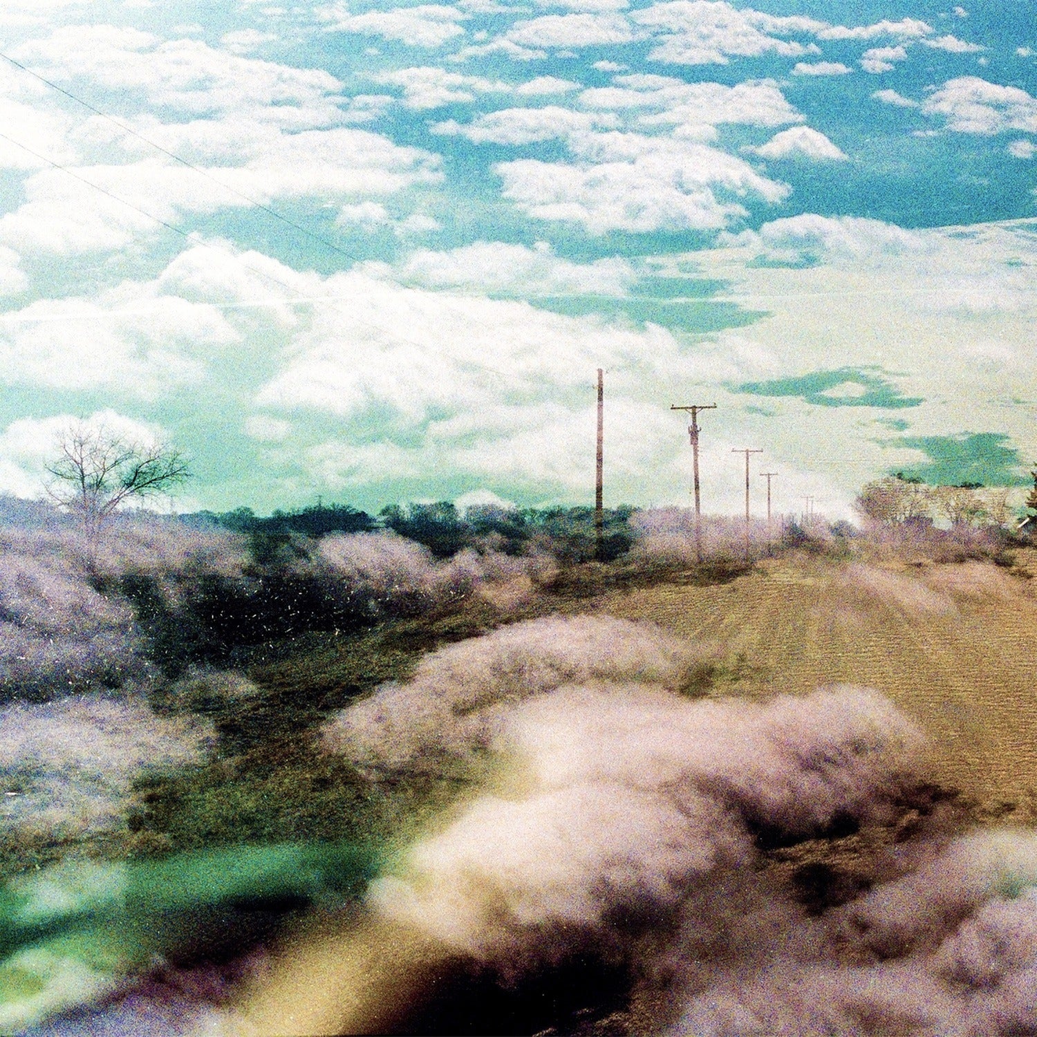 World Is a Beautiful Place & I Am No Longer Afraid - Always Foreign (CD)