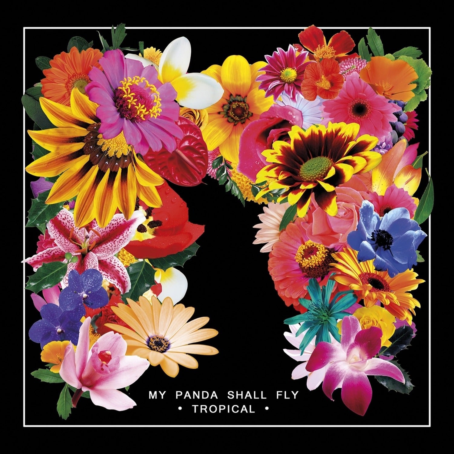 My Panda Shall Fly - Tropical