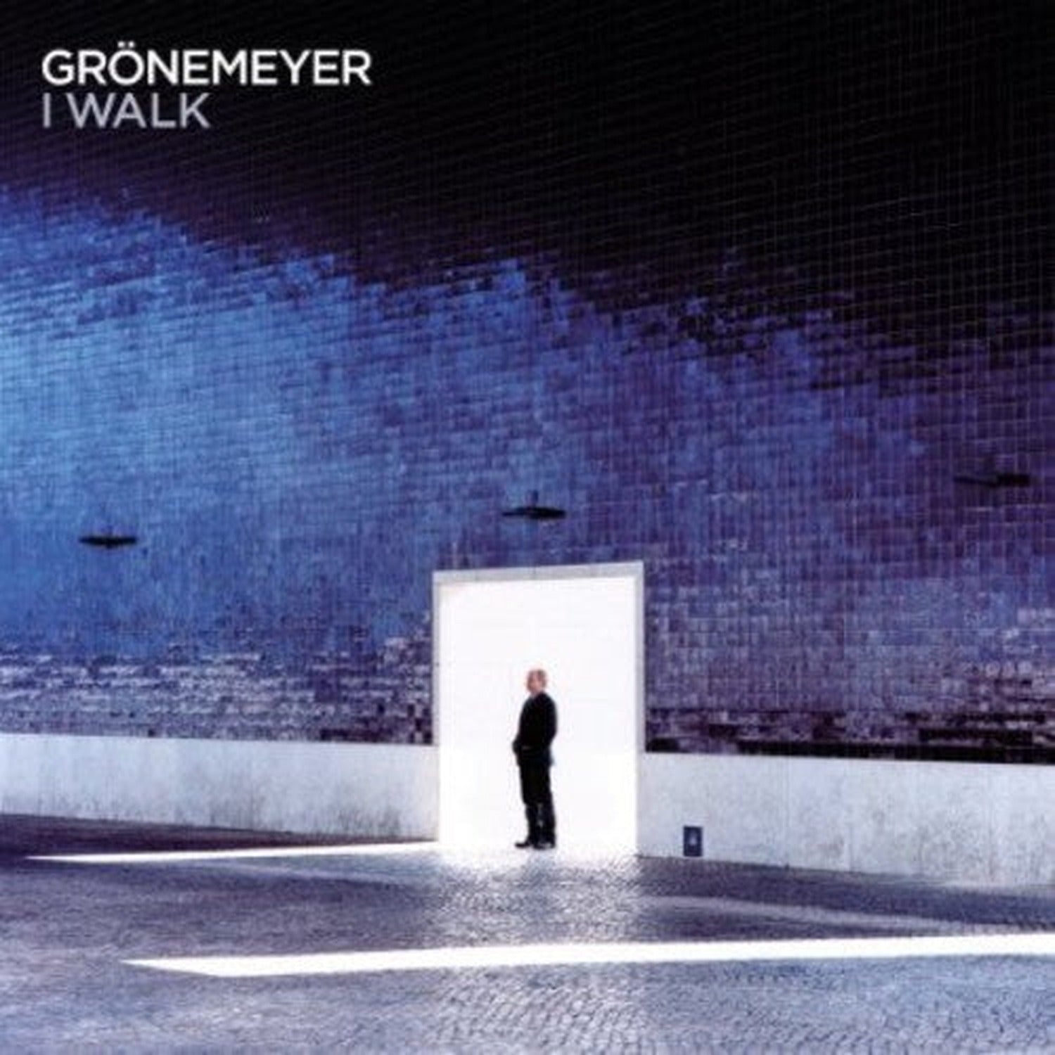 Herbert Gronemeyer - I Walk (CD)