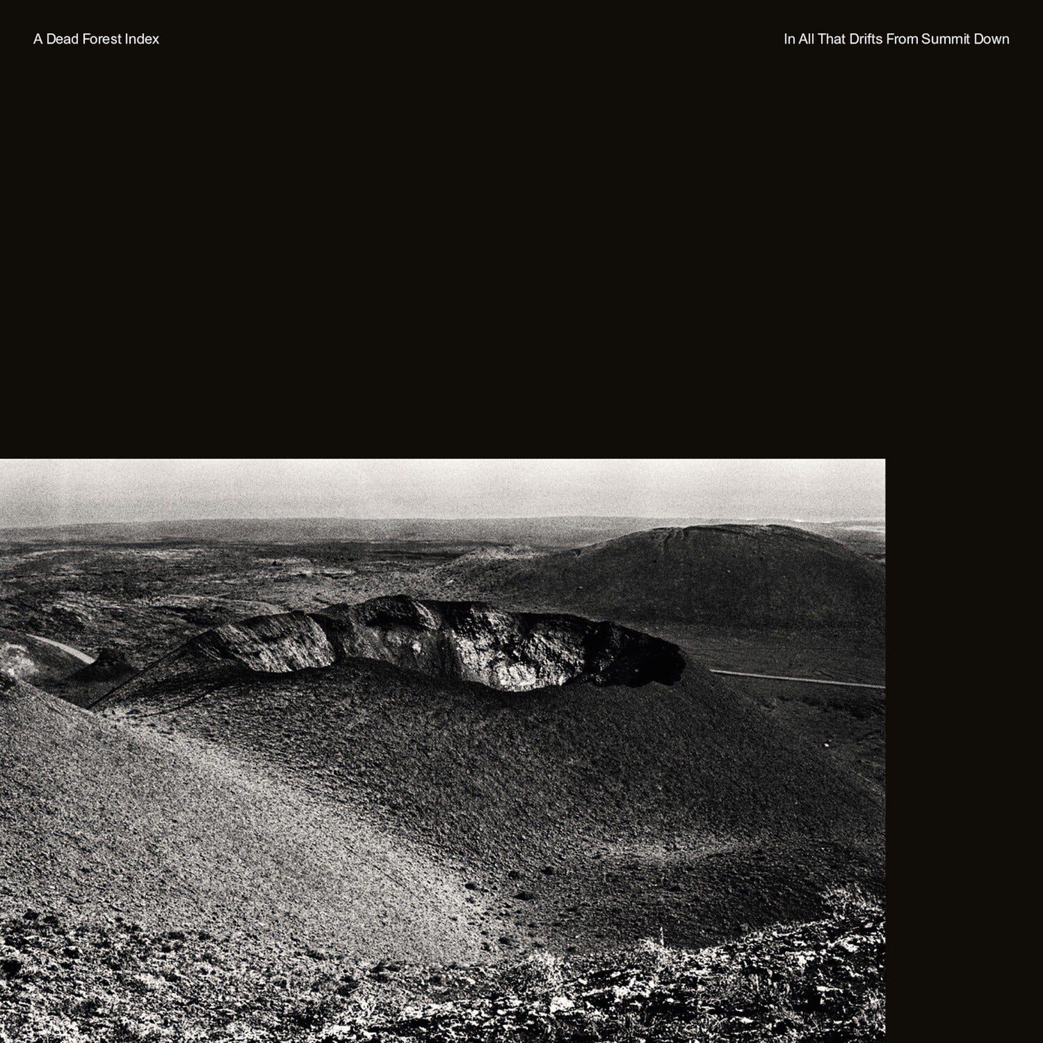 Dead Forest Index - In All That Drifts from Summit Down