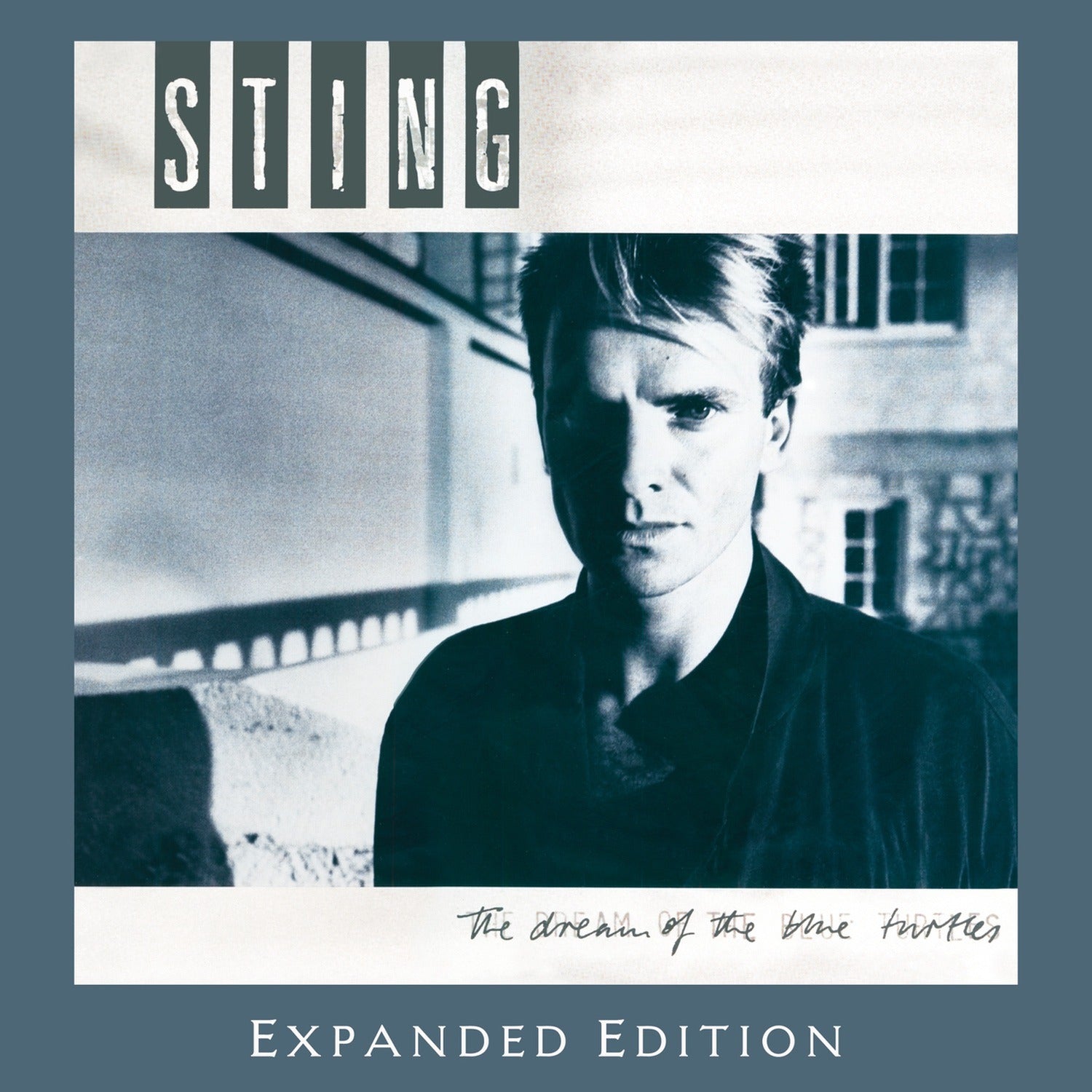 Sting - Dream Of The Blue Turtles