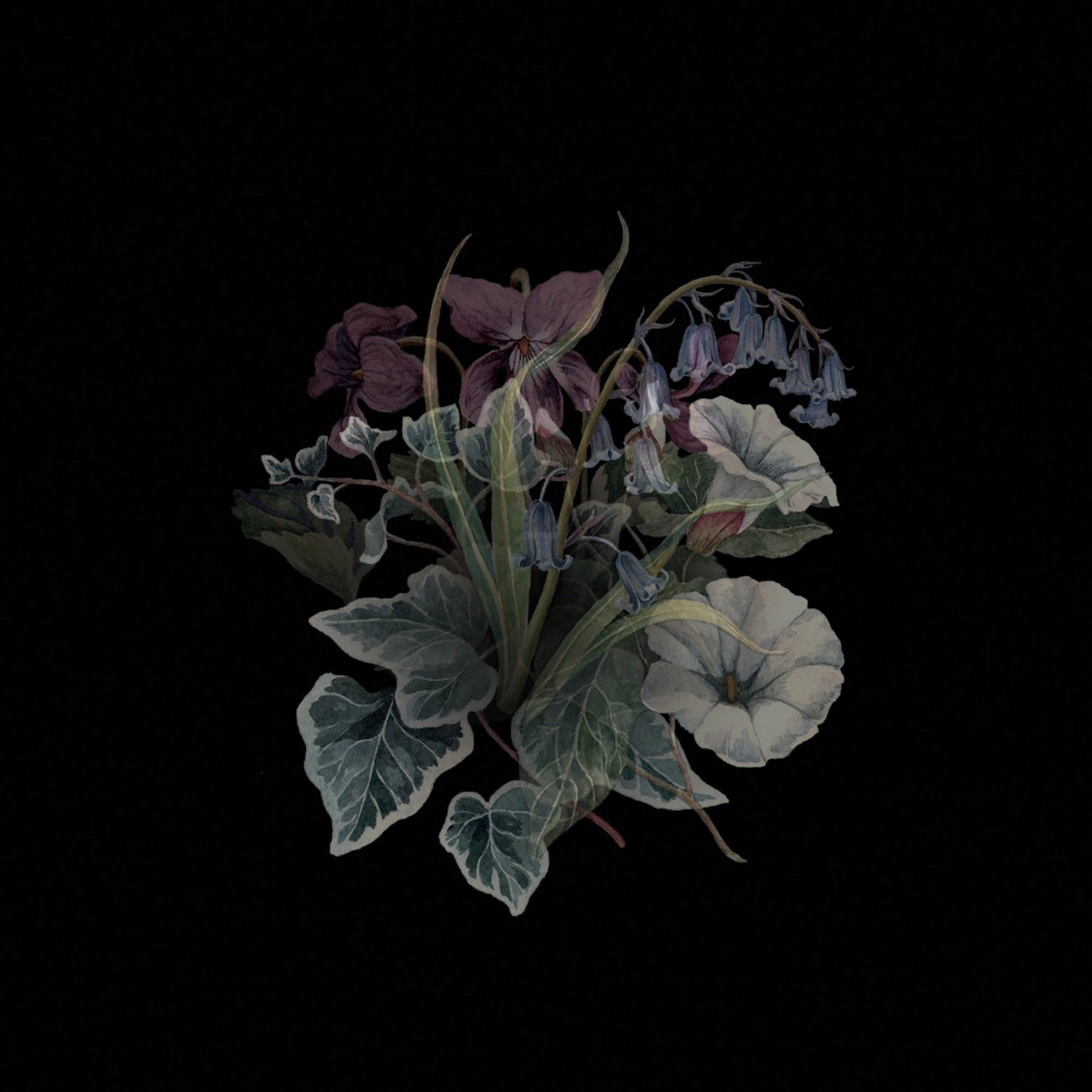 Nhor - Wildflowers 2xLP (Limited Edition)