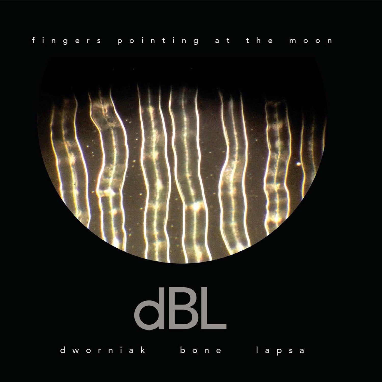 Dworniak Bone Lapsa - Fingers Pointing At The Moon (CD)