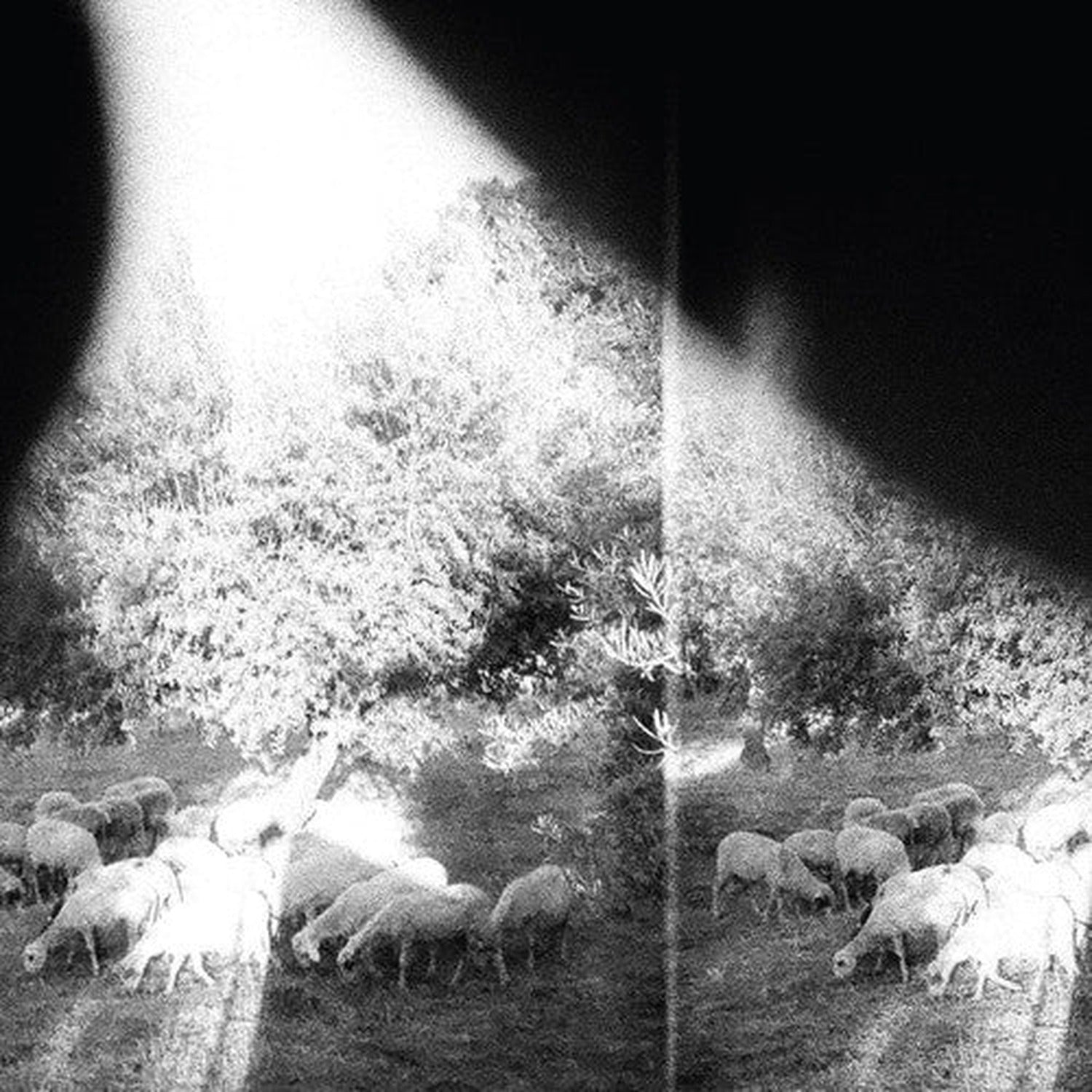 Godspeed You Black Emperor - Asunder Sweet & Other Distress (CD)