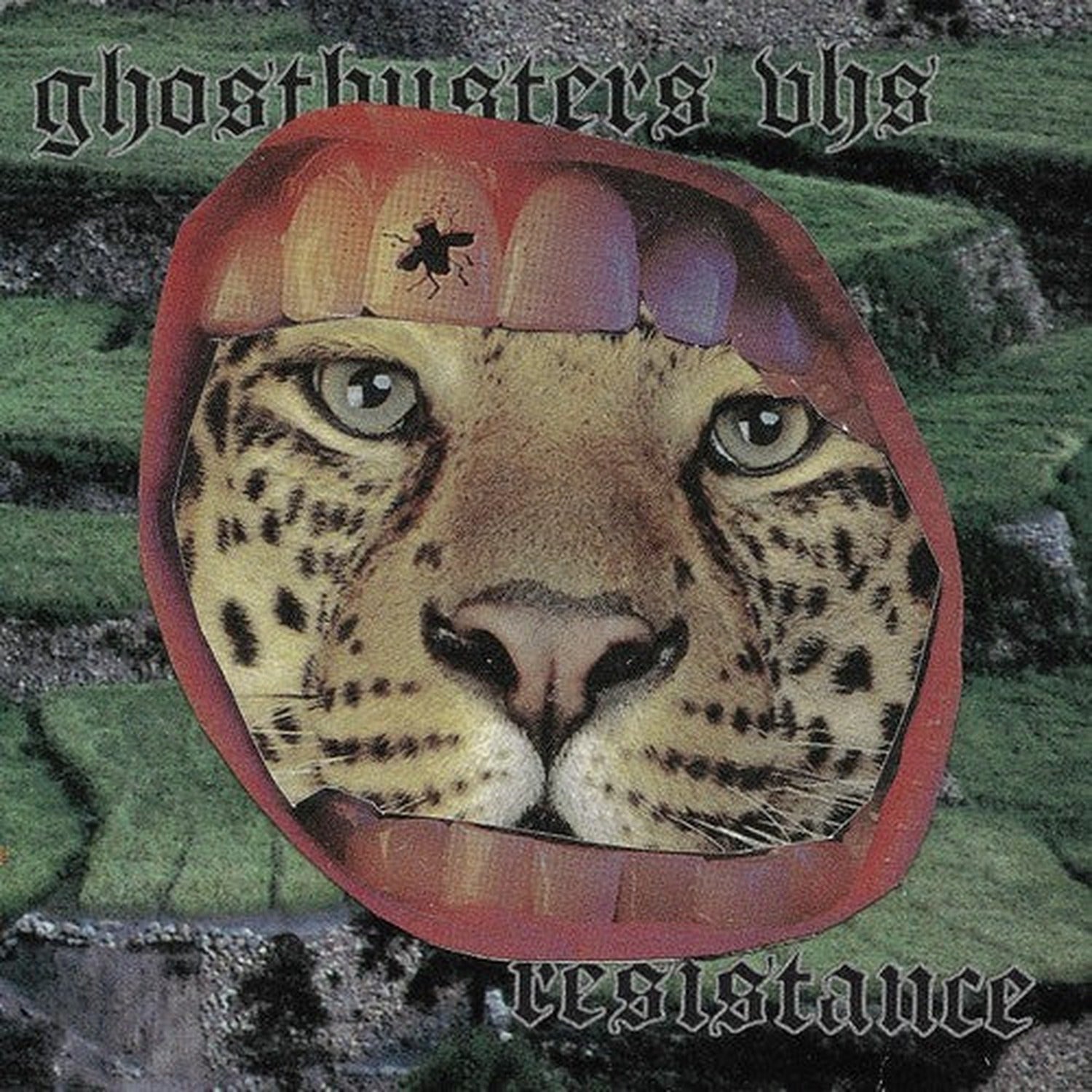 Ghostbusters VHS - Resistance