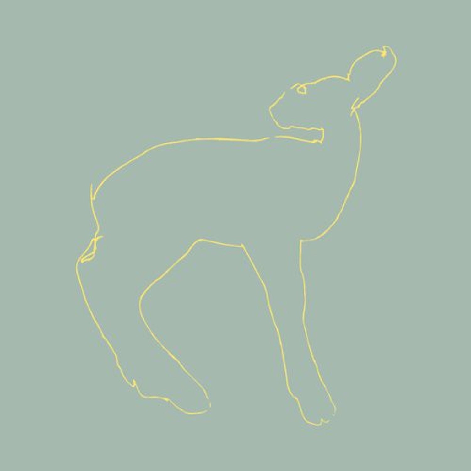 Songs: Ohia - Hecla and Griper