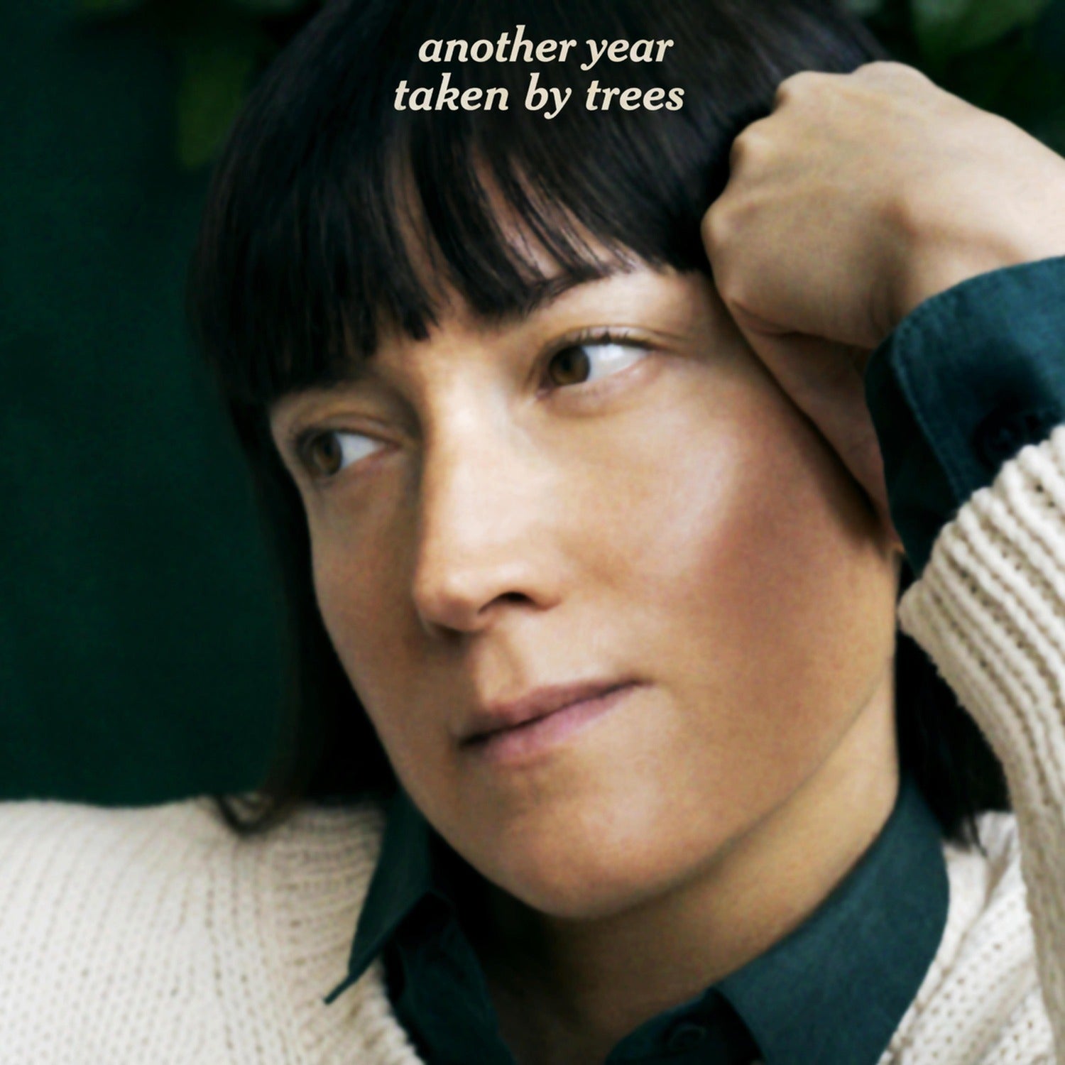 Taken by Trees - Another Year