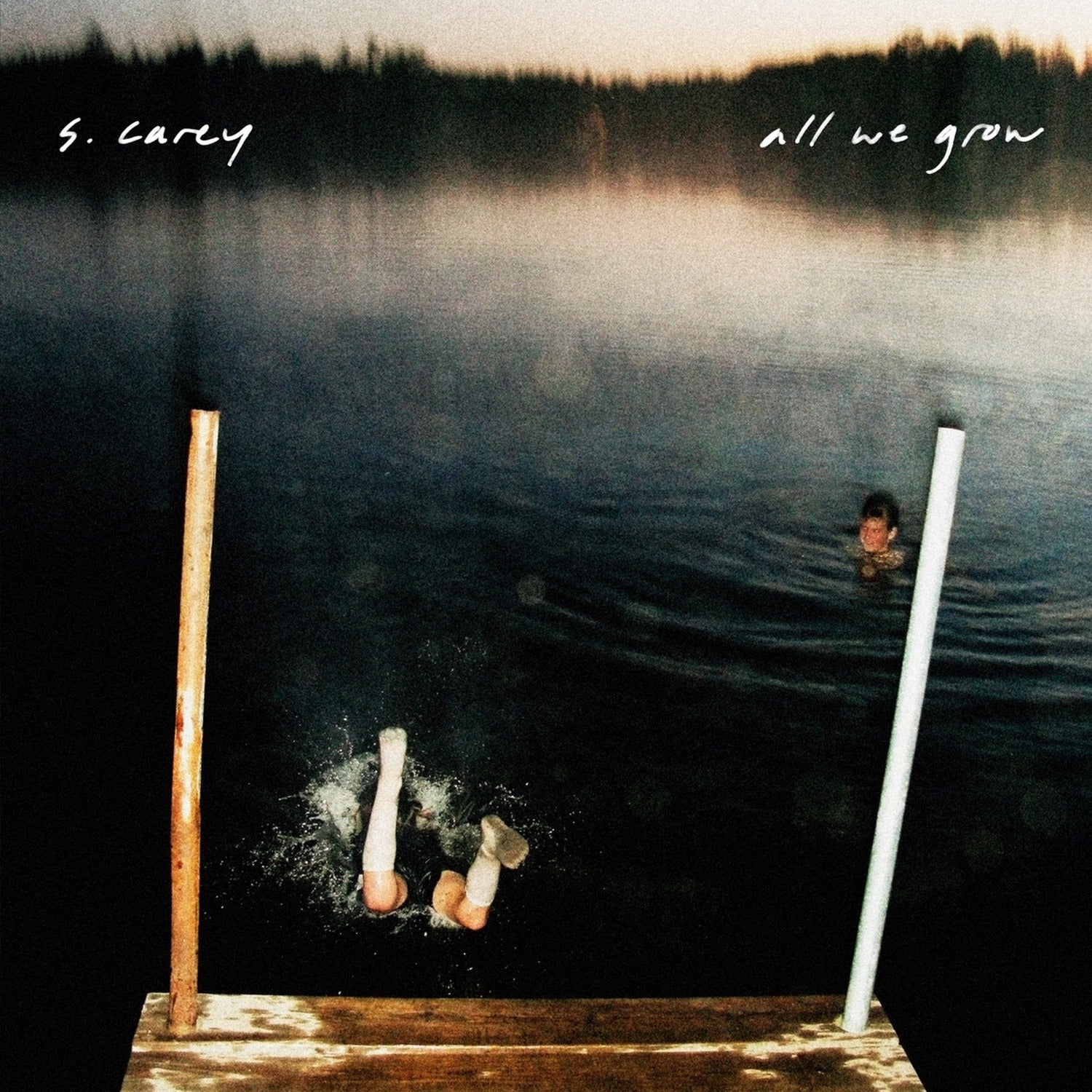 S. Carey - All We Grow (CD)