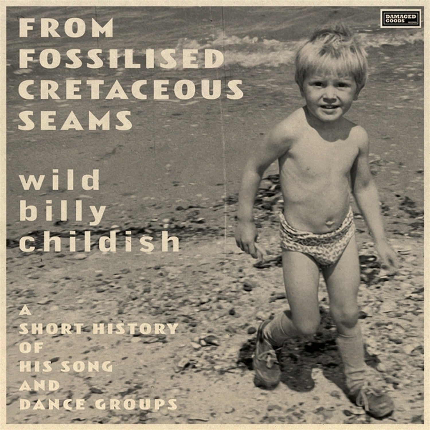Billy Childish - From Fossilised Cretaceous Seams: A Short History Of His Song And Dance Groups 2xLP