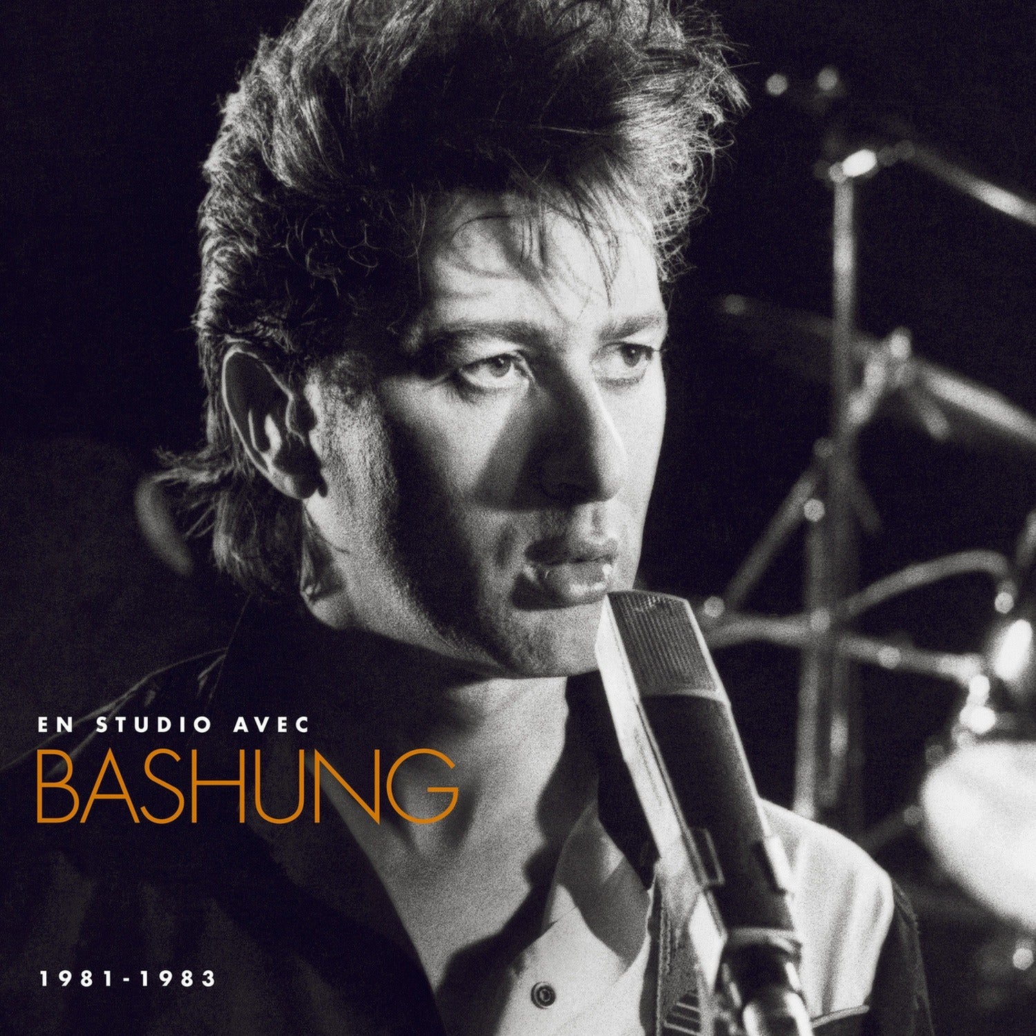 Alain Bashung - En Studio