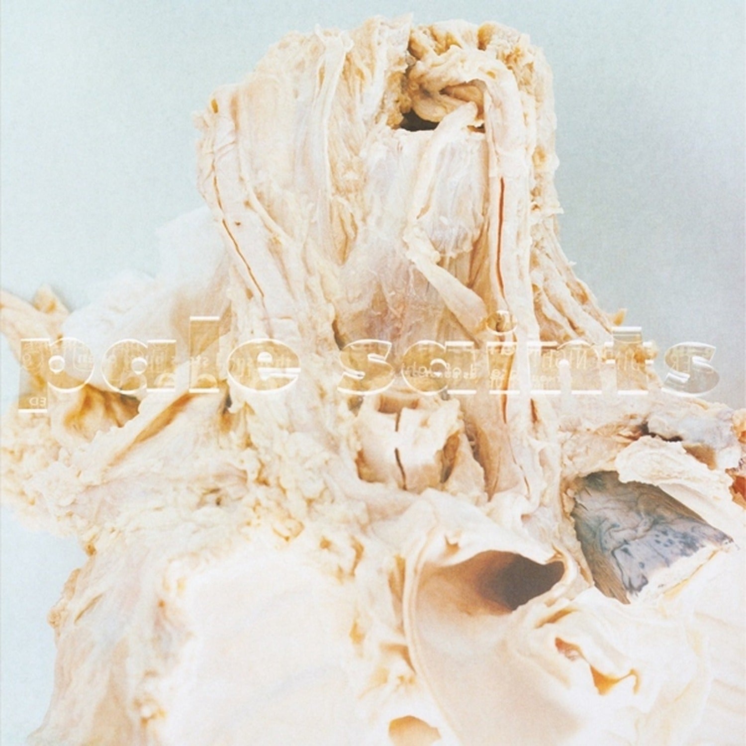 Pale Saints - In Ribbons 2xLP (Deluxe)