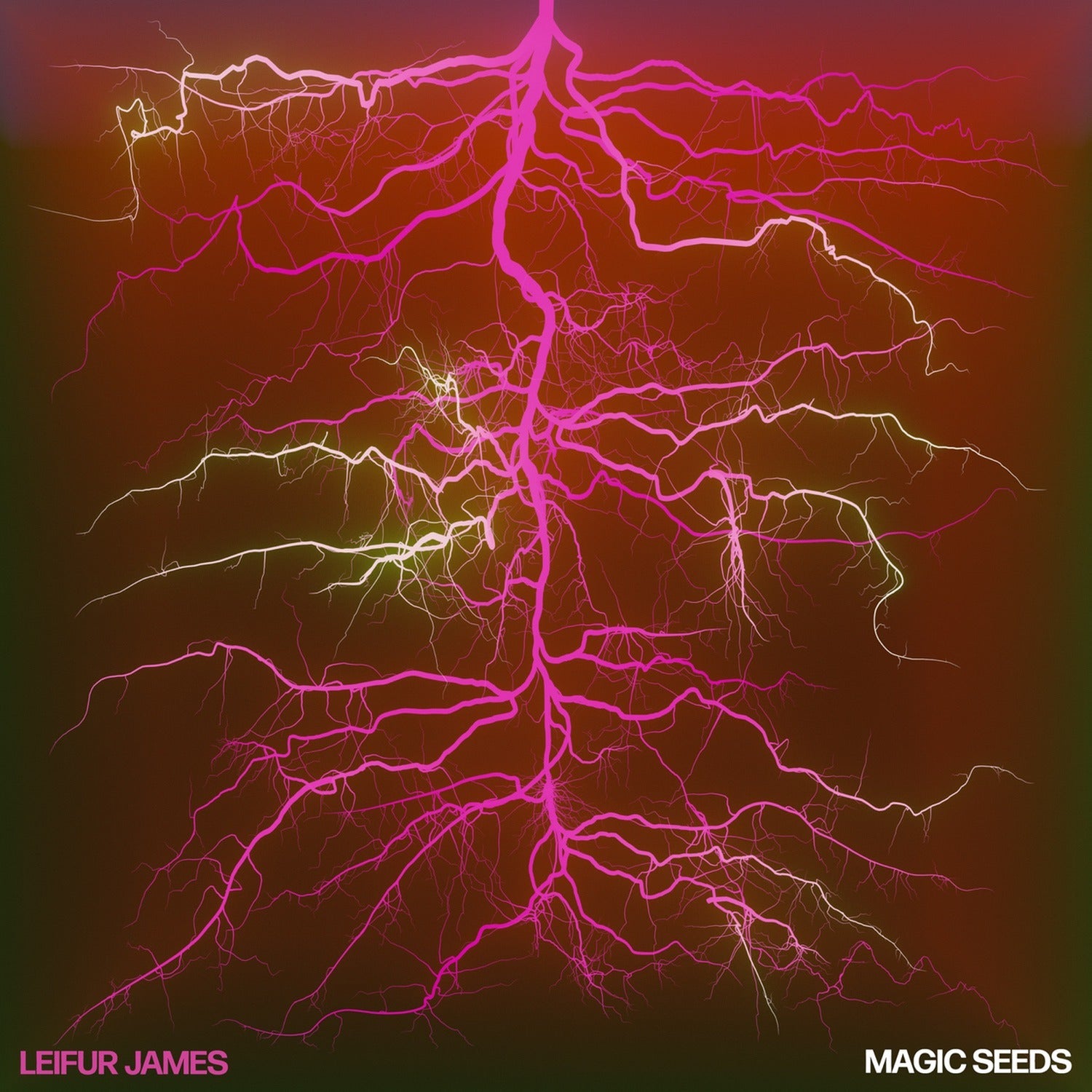 Leifur James - Magic Seeds - Limited Deluxe Ruby Red Colored Vinyl (Red Vinyl)