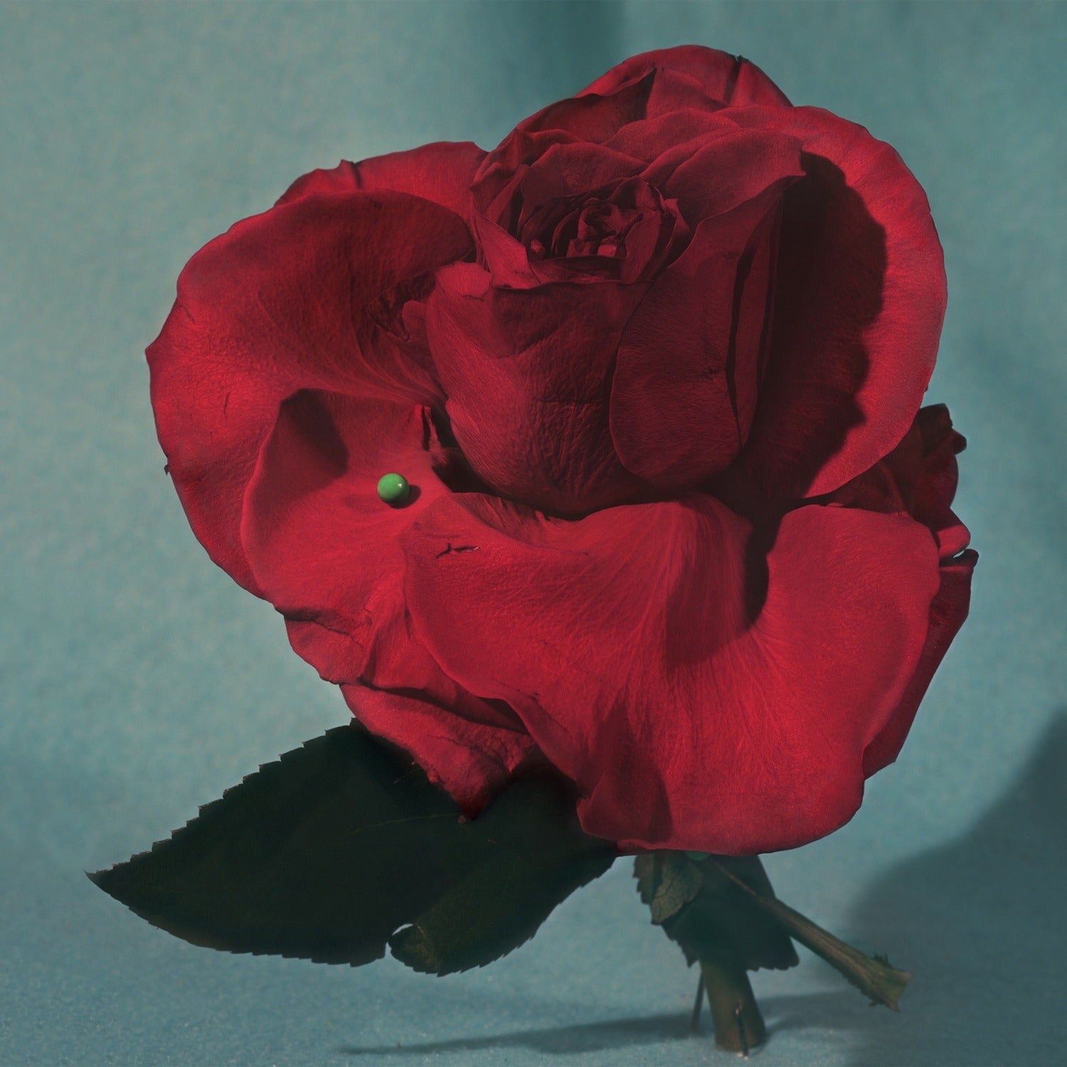 Metz - Up On Gravity Hill - Half Red & Half Black Colored Vinyl (Red Vinyl)