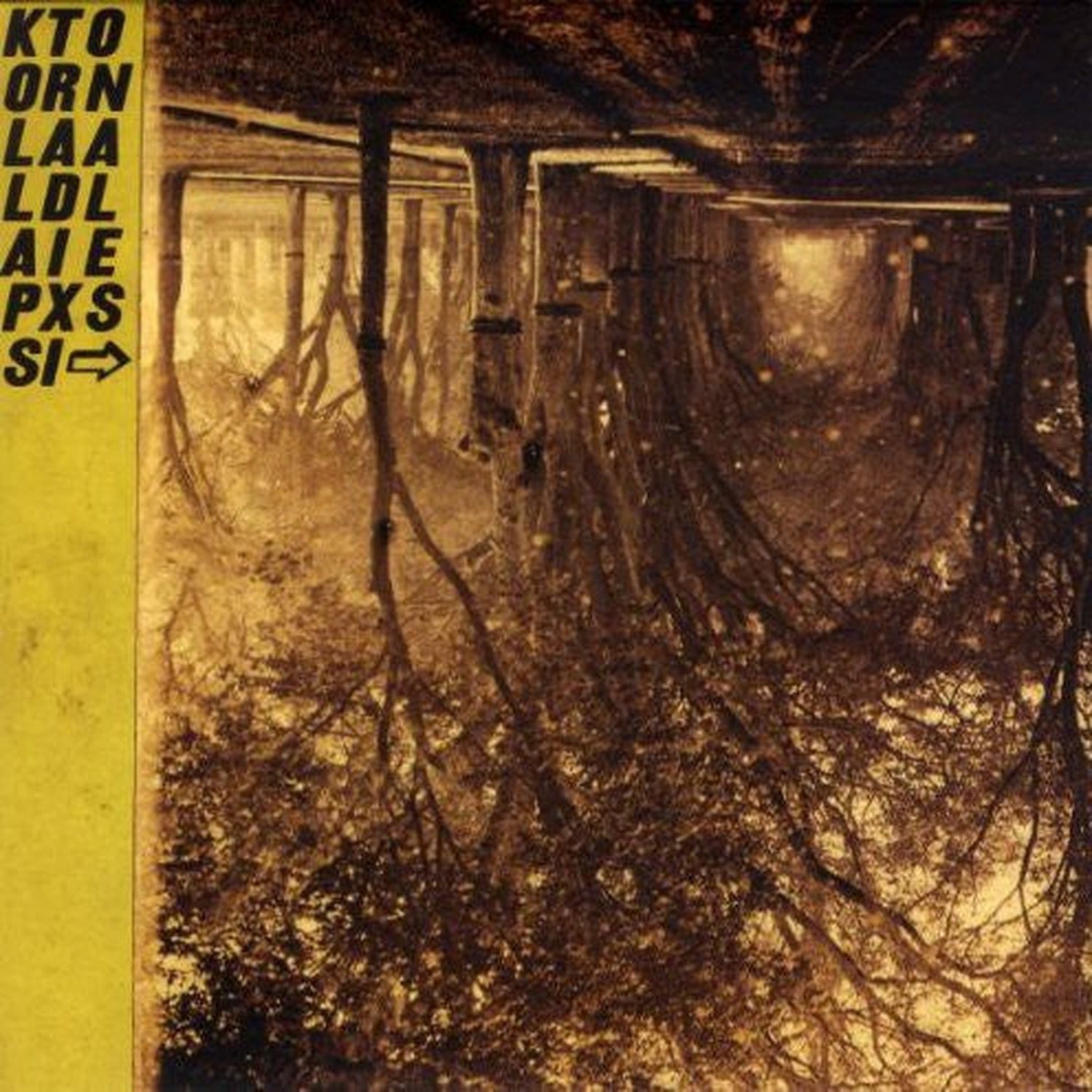 Silver Mt Zion Memorial Orchestra & Tra-La-La Band - Kollaps Tradixionales [With CD] [With Book] [With Poster] 2xLP (Deluxe)