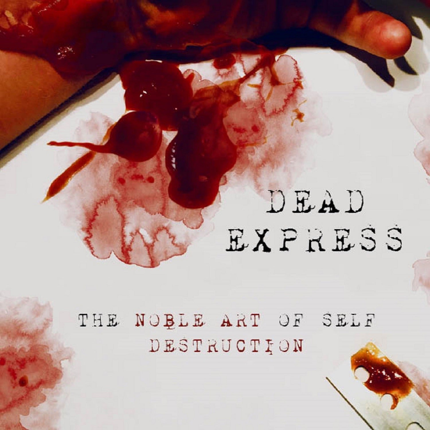 Dead Express - The Noble Art Of Self Destruction (CD)
