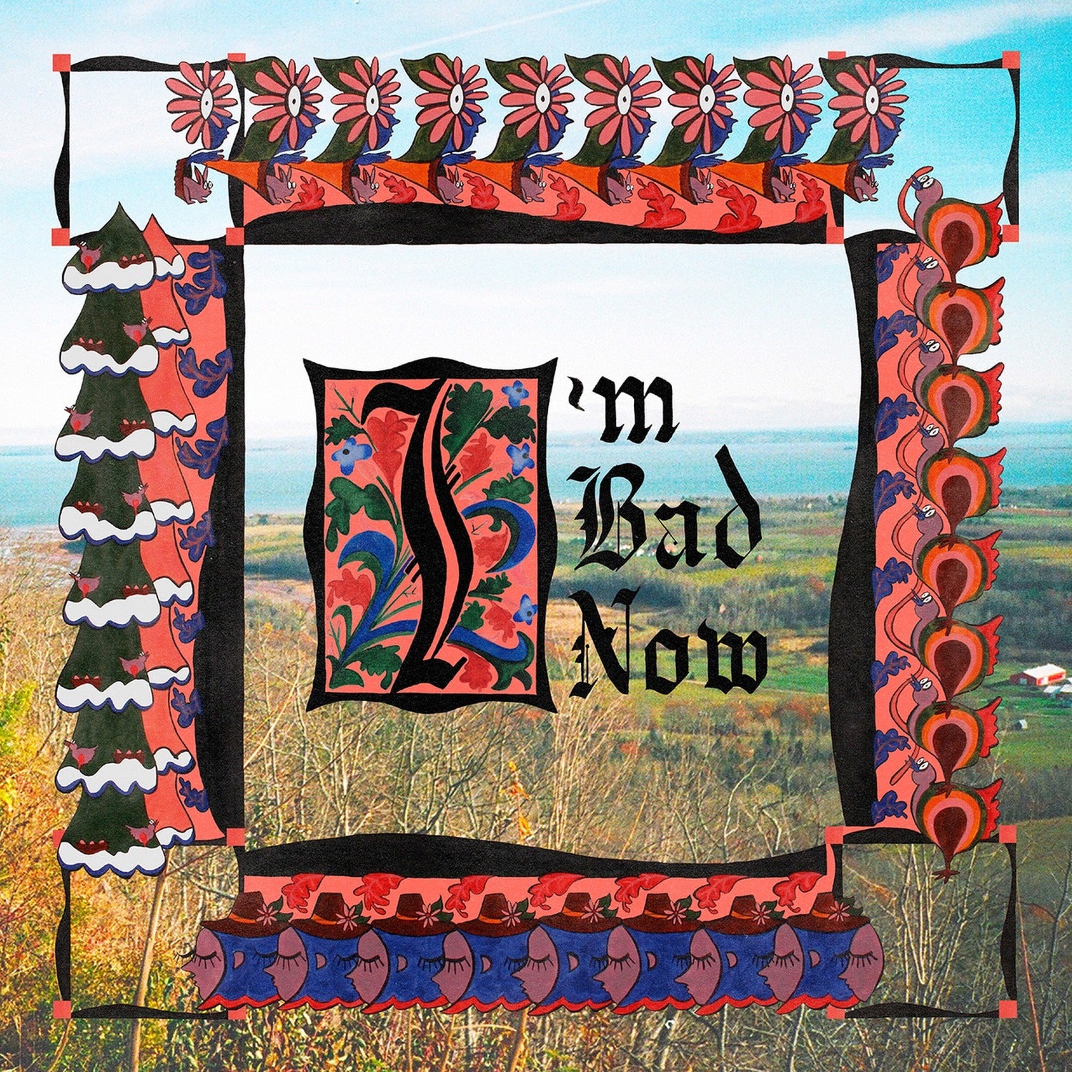 Nap Eyes - I'm Bad Now (CD)