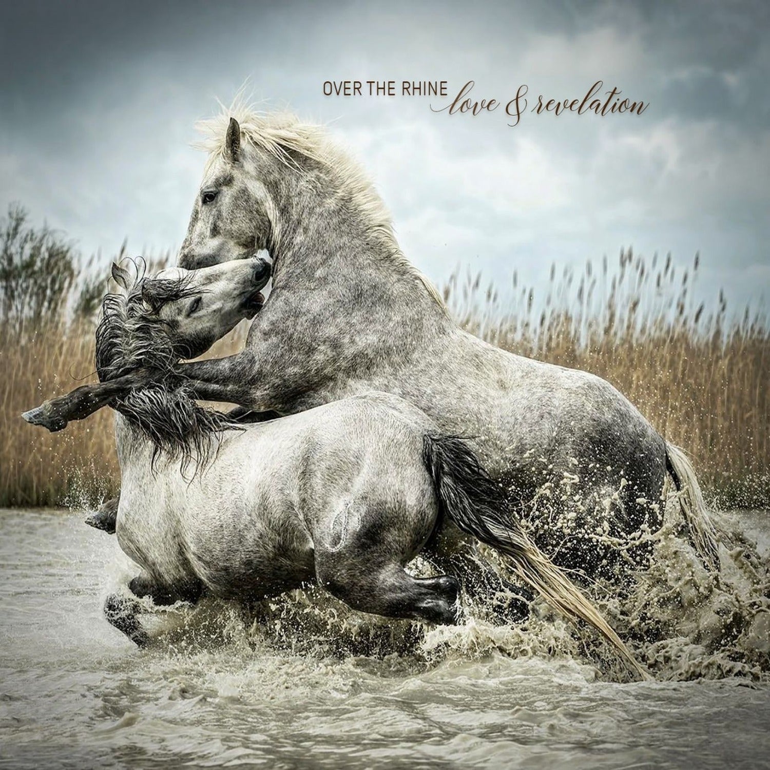 Over the Rhine - Love & Revelation