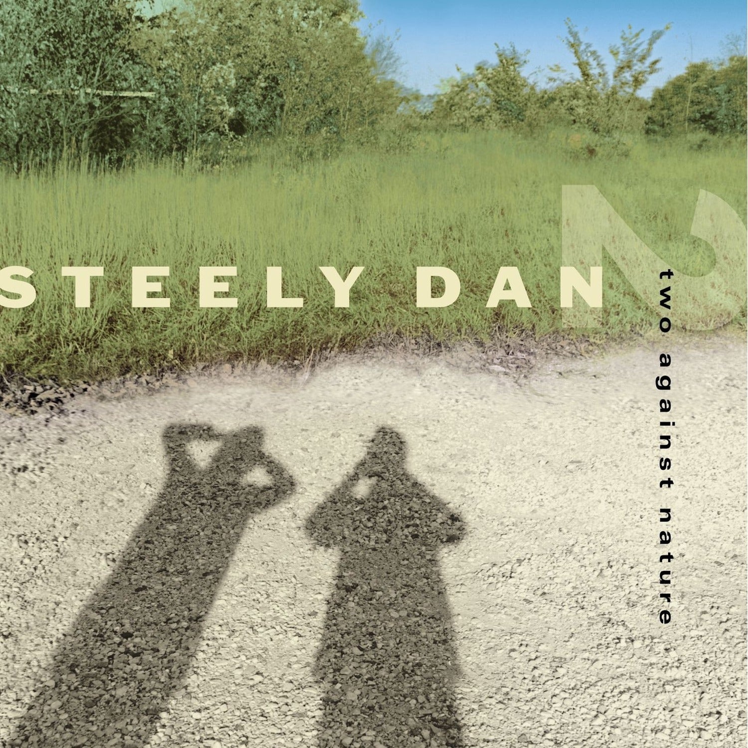 Steely Dan - Two Against Nature 2xLP